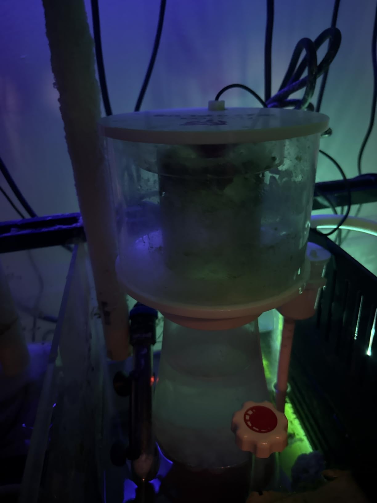 MagTool DC Protein Skimmer with Controllable Pinwheel Pump (N170 Plus) customer photo 2