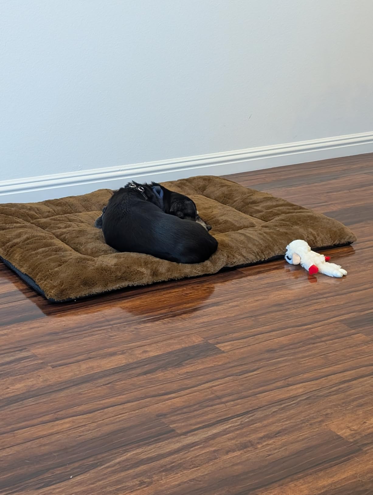 Dog Crate Pad Washable Dog Bed for Crate Medium Cozy Mat 36-Inch Gray customer photo 2