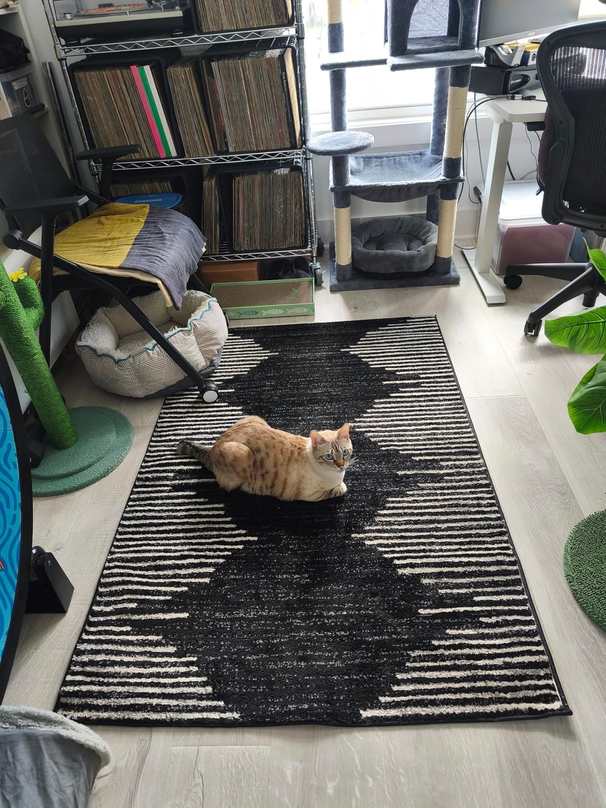 Rugshop Bohemian Stripe Stain Resistant Runner Rug Black 2' x 7' customer photo 1