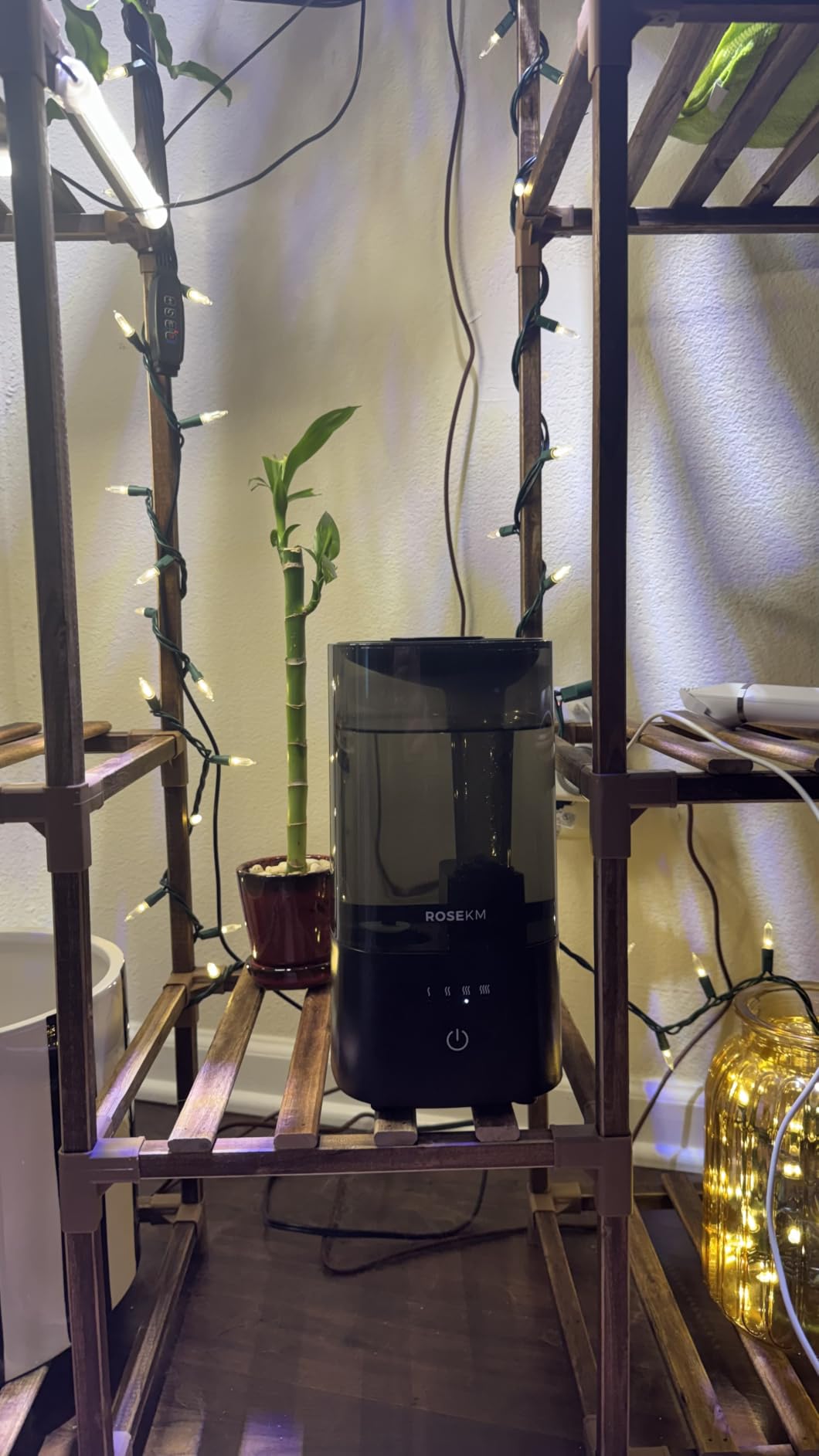 ROSEKM 2L Cool Mist Humidifier for Bedroom and Plants, Quiet, Black customer photo 2