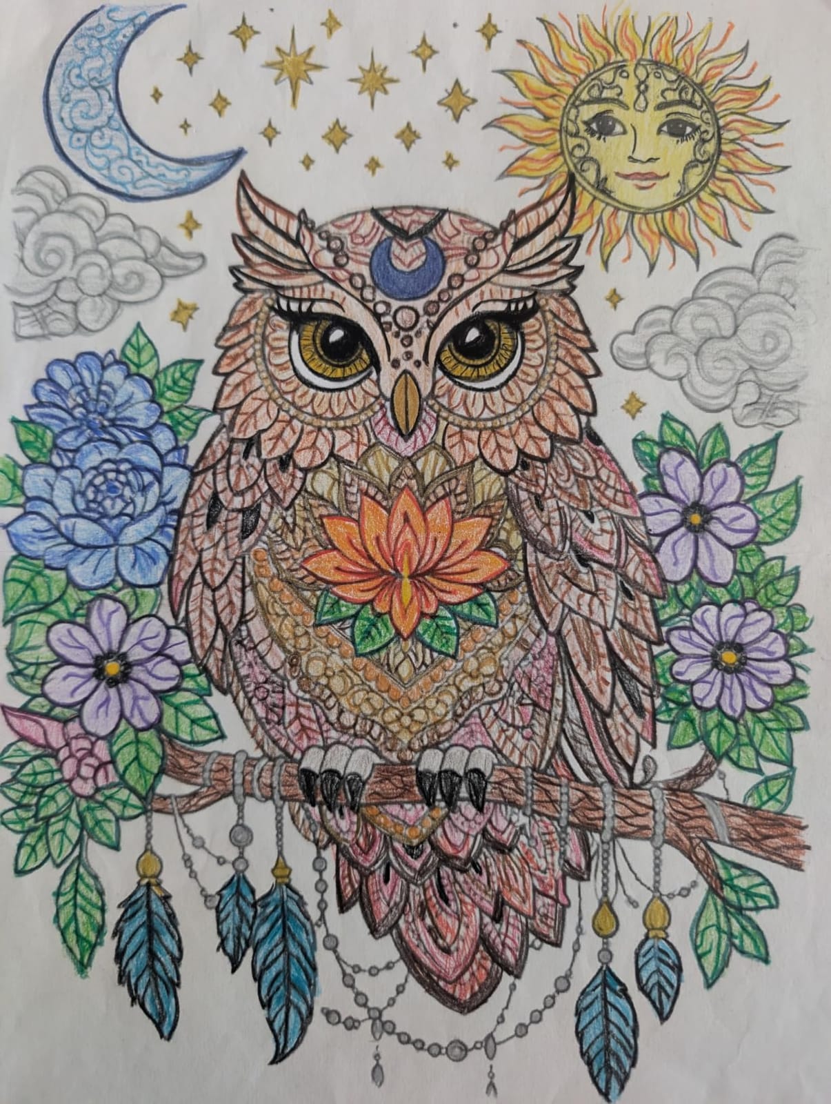KALOUR 72 Count Colored Pencils for Adult Coloring Books, Soft Core,Ideal for Drawing Blending Shading,Color Pencils Set Gift for Adults Kids Beginners customer photo 1
