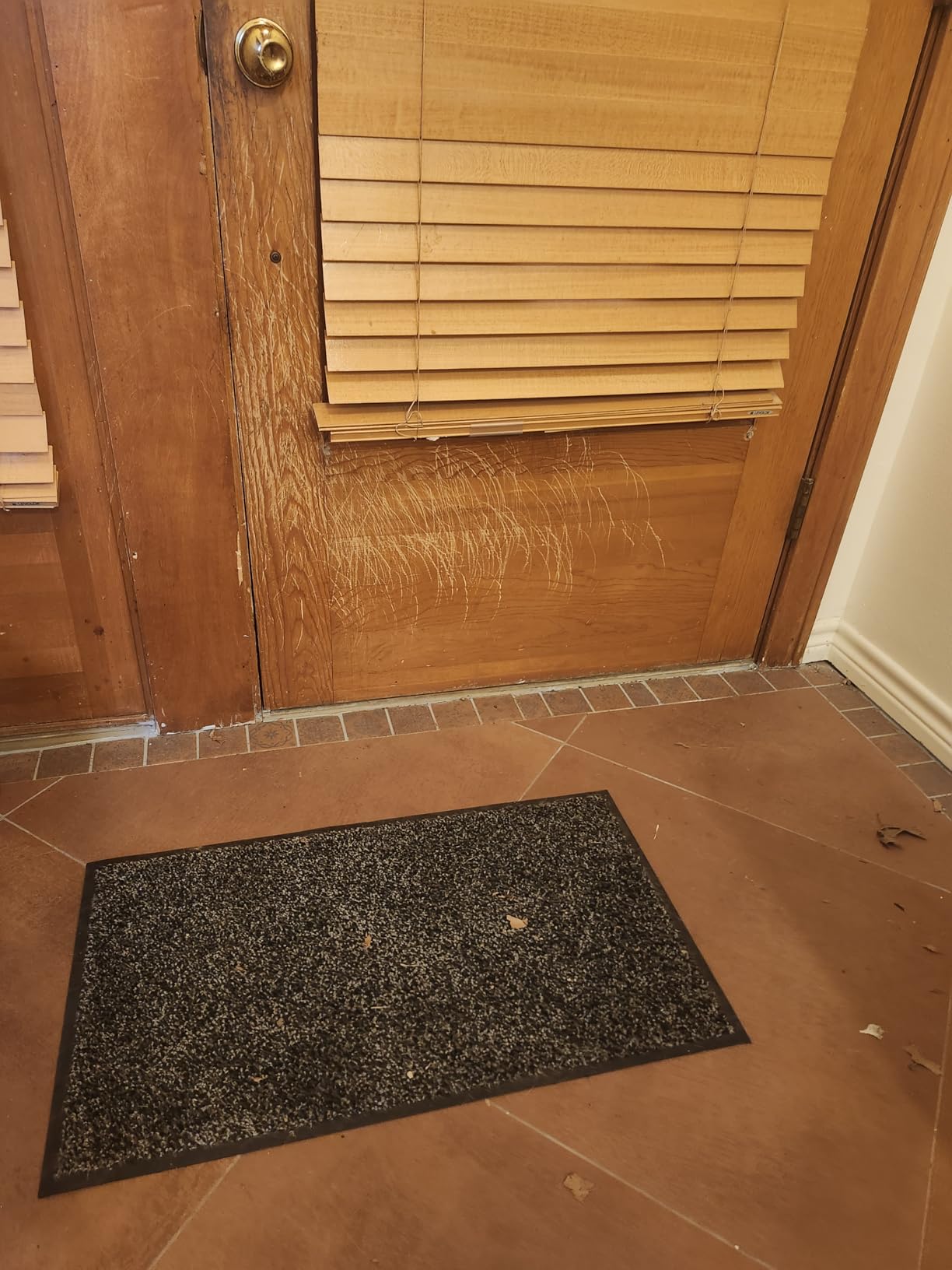 Mibao Super Absorbent Front Door Mat, 29.5
