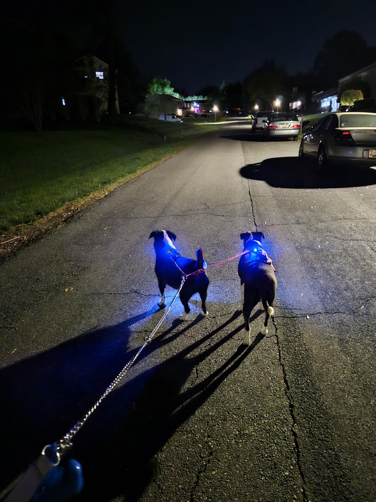 Clip on Flashlight, Running Lights for Runners Dog Light for Dog Walking at Night Rechargeable Safety Portable EDC Flashlight Gift for Runners Hands Free LED Work Light Flashing Camping Hiking Gear customer photo 2