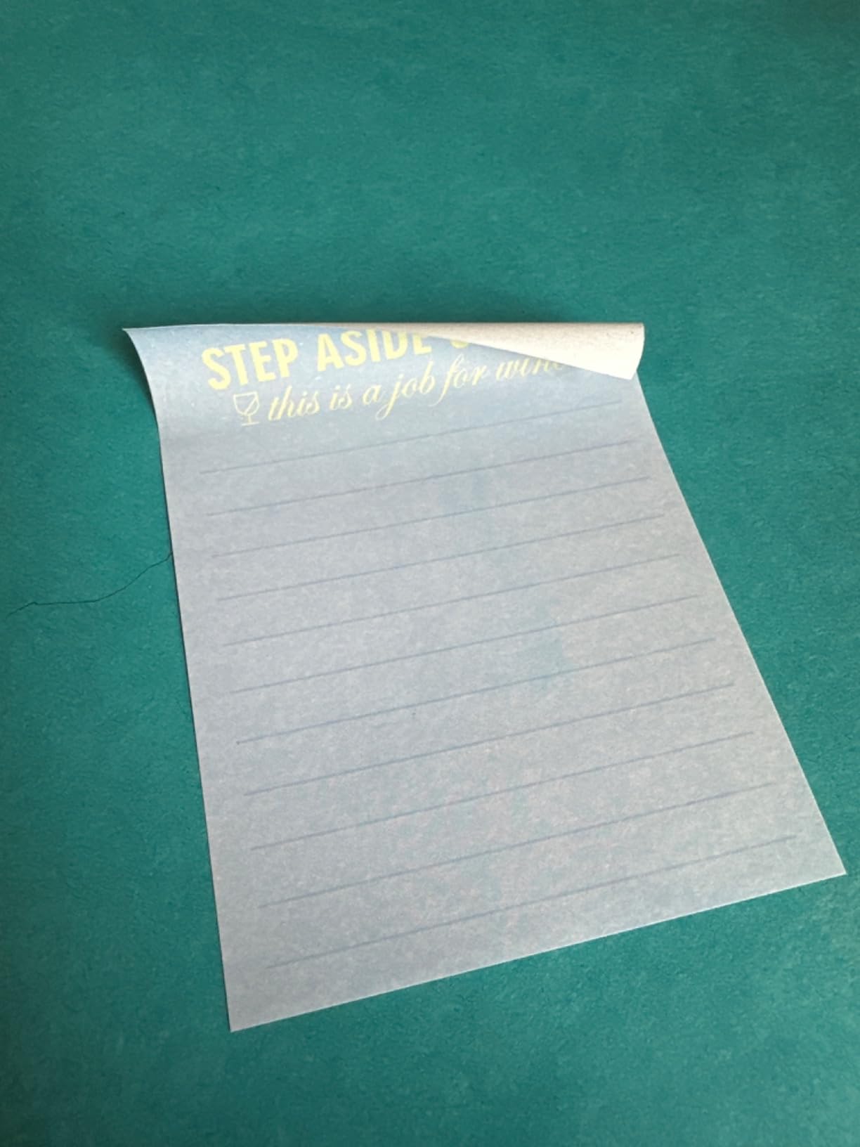 24 Pcs Sarcastic Sticky Notes with Pens 3