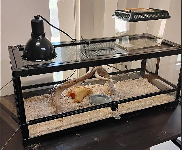 Zilla QuickBuild Reptile 65 Gallon Glass Terrarium, 48