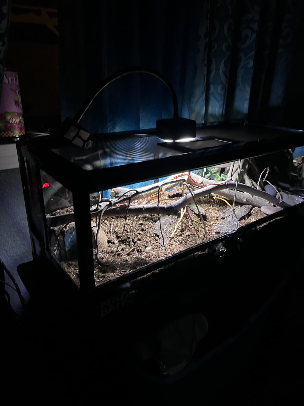 Zilla QuickBuild Reptile 20 Gallon Glass Terrarium Habitat with Swing Door For Geckos, Snakes, Lizards, Frogs, Turtles, and Tortoises, 30