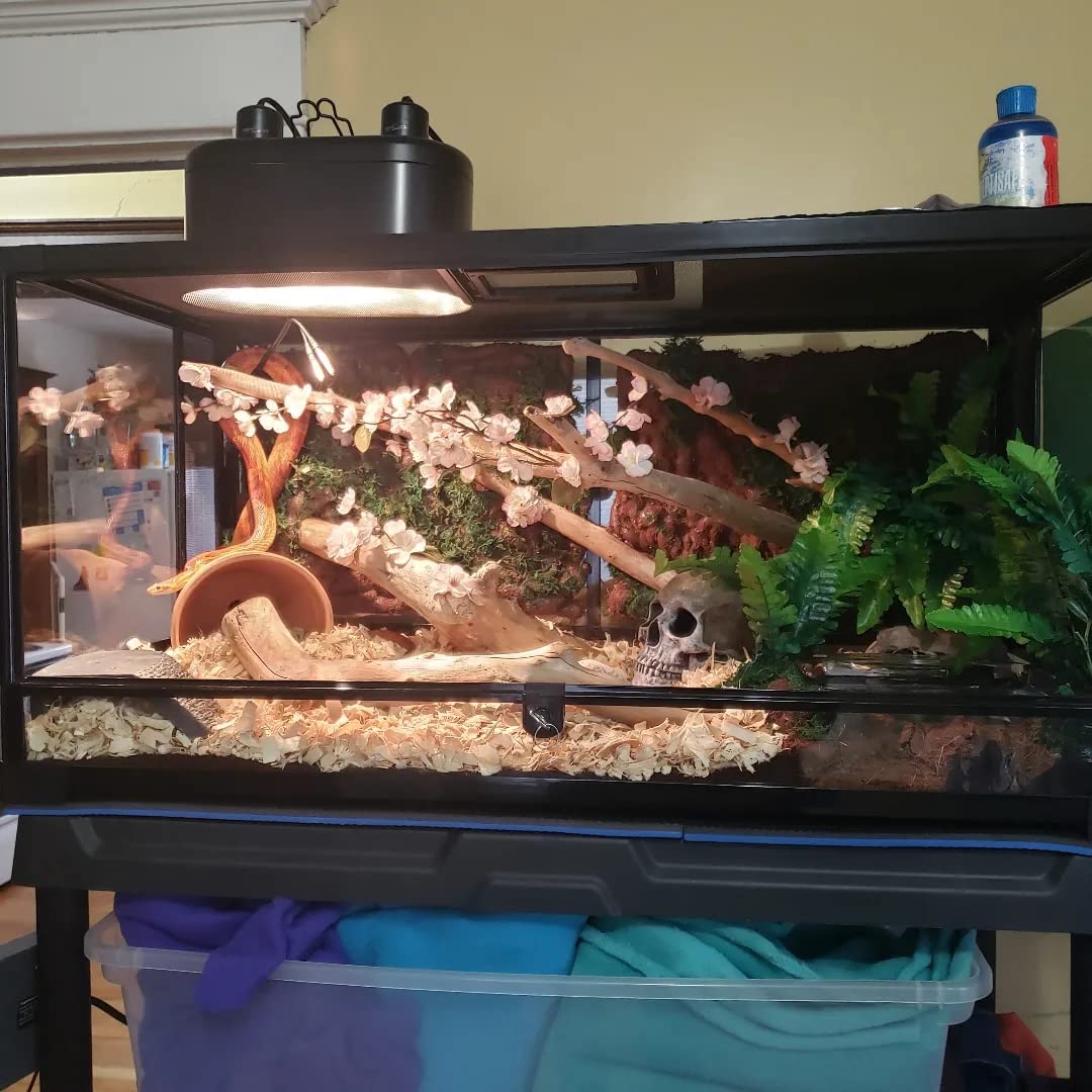 Zilla QuickBuild Reptile 20 Gallon Glass Terrarium Habitat with Swing Door For Geckos, Snakes, Lizards, Frogs, Turtles, and Tortoises, 30