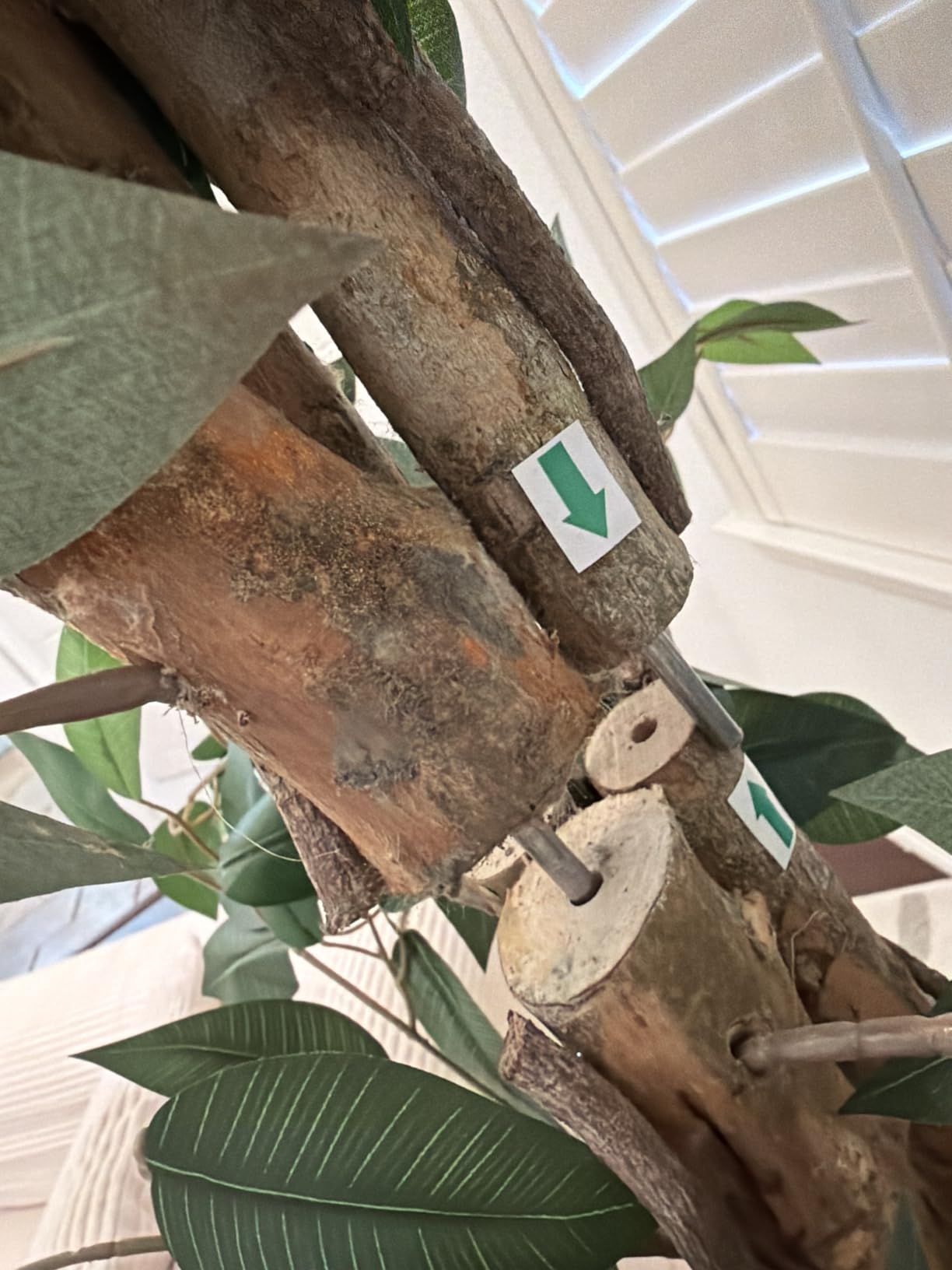6.2ft Ficus Artificial Trees with 3 Natural Curved Trunks, 74