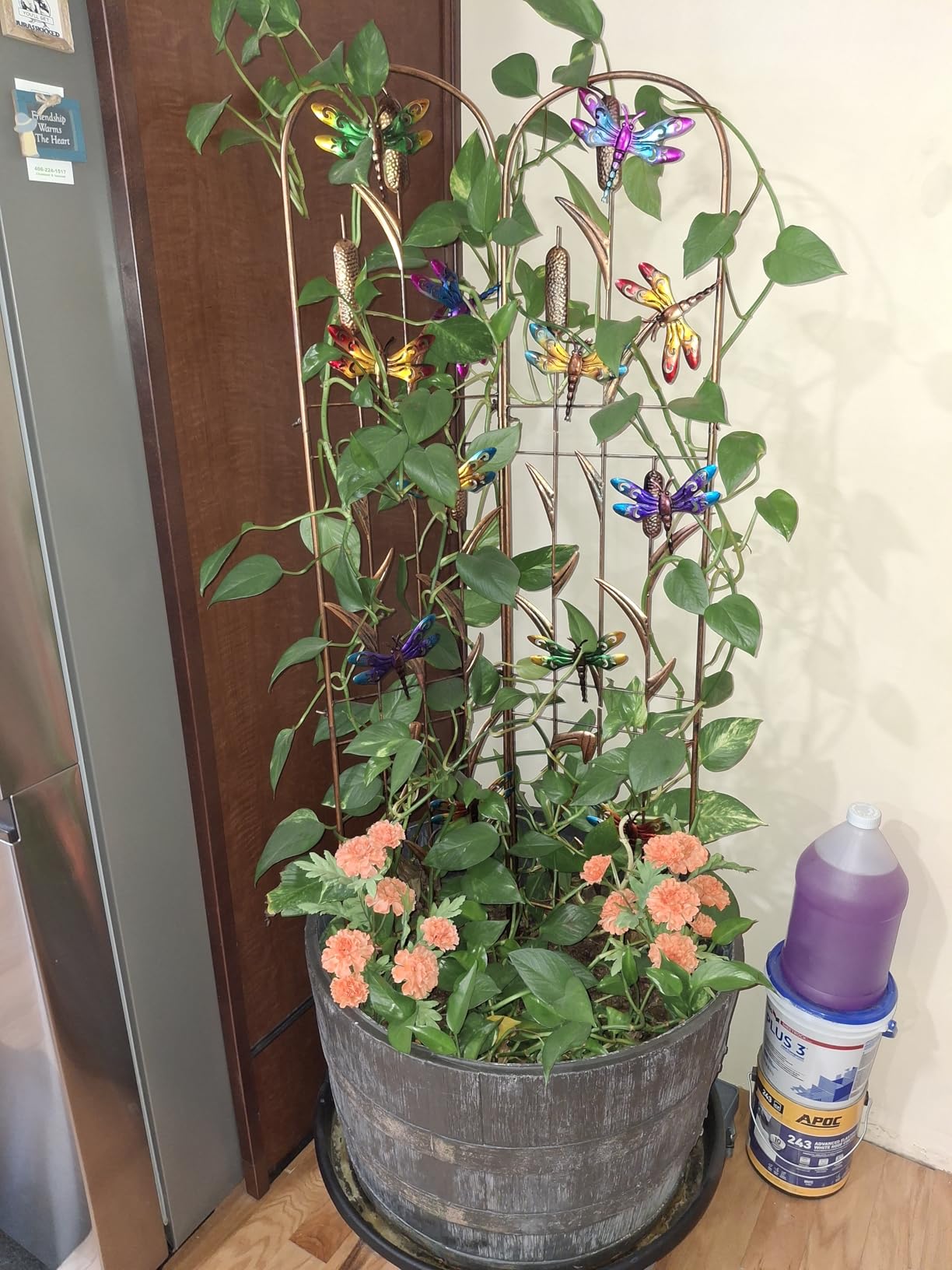 2 Pack Metal Garden Trellis for Climbing Plants customer photo 2