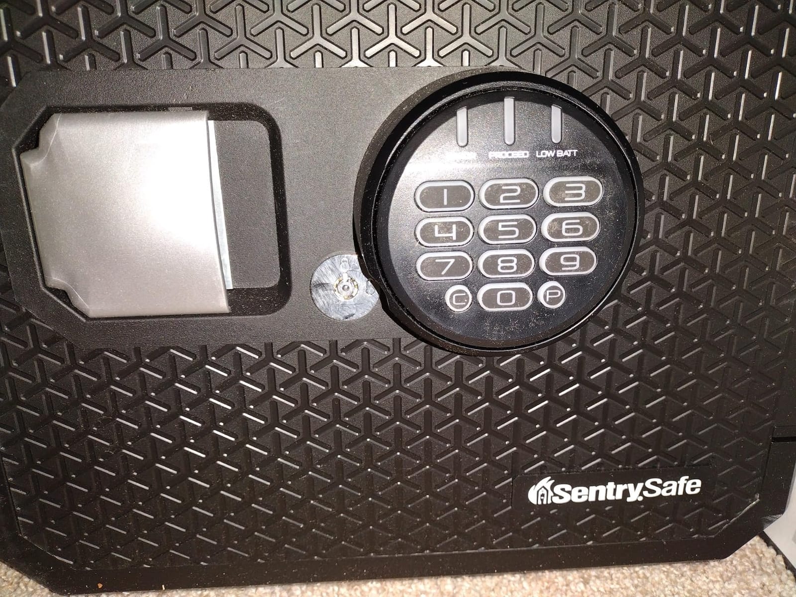 SentrySafe Fireproof and Waterproof Large Safe with Digital Keypad, Override Key, and Adjustable Shelf for Home, Dorm, or Office, 0.81 Cubic Feet, FPW082HSB customer photo 1