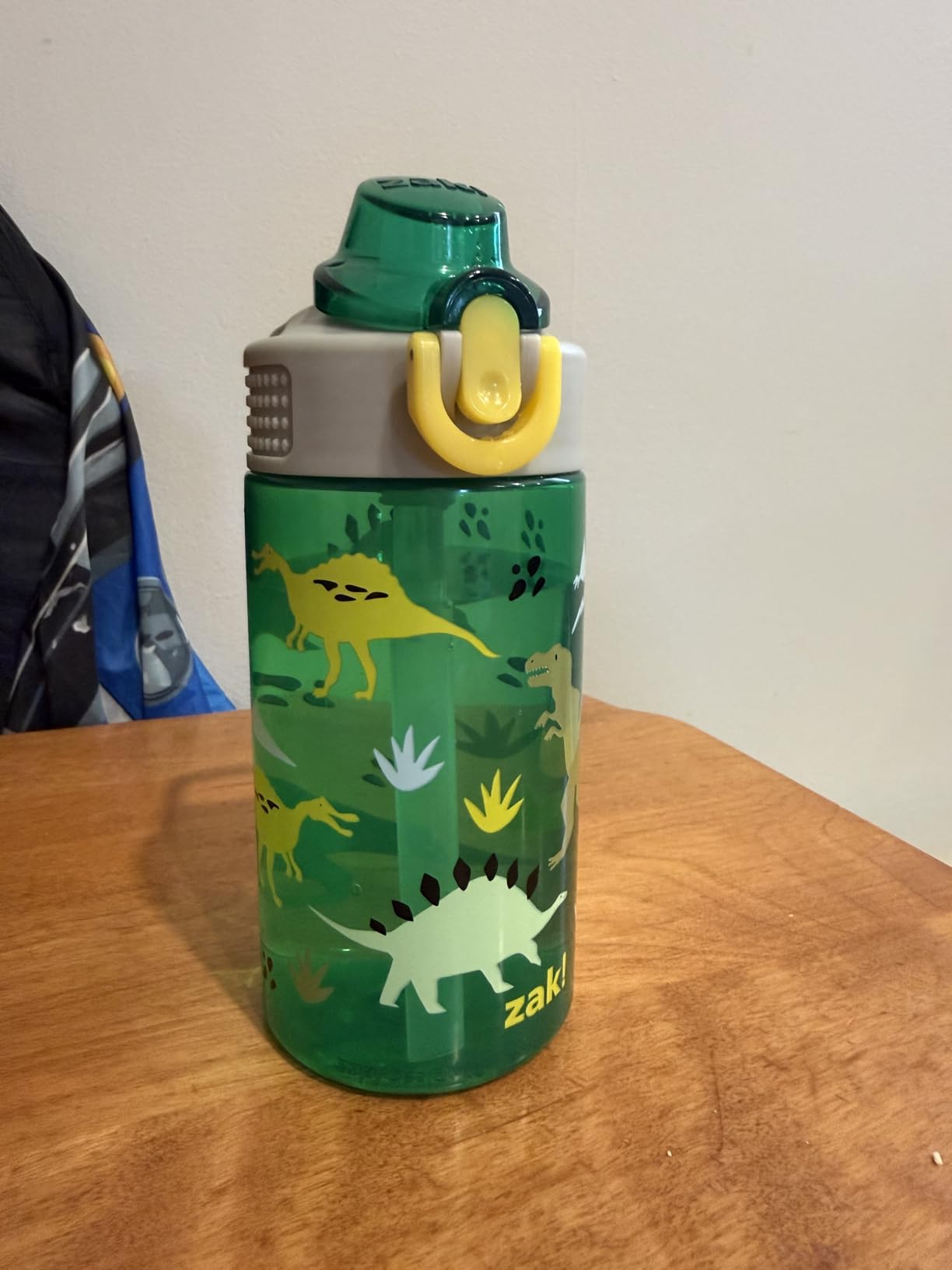 Zak Designs Dinosaur 16oz Leak-Proof Straw Kids Water Bottle, Plastic customer photo 2