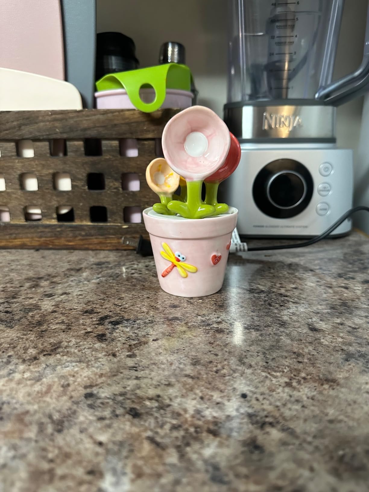 Flower Measuring Spoons Set in Pot Unique Baking Gifts Ceramic Cute Measuring Cups and Spoons with Holder for Dry Wet Ingredients Dishwasher Safe Pink customer photo 1