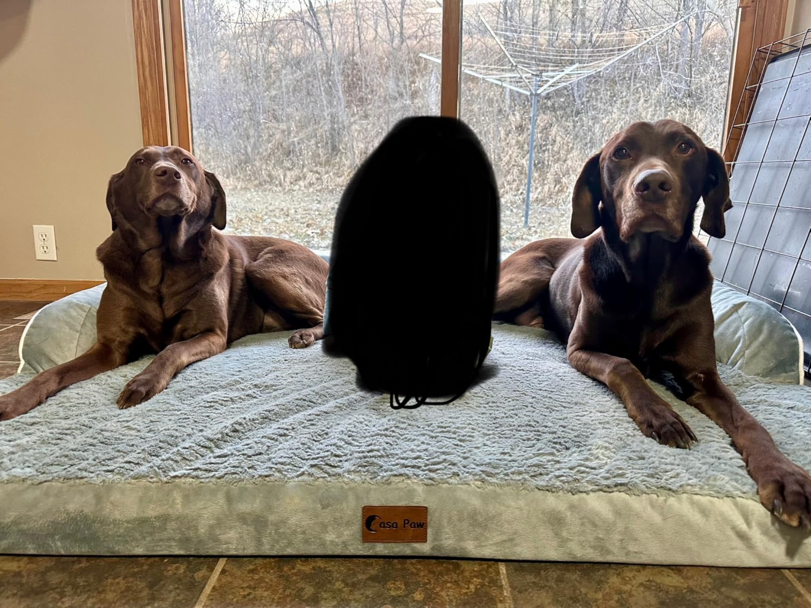 Orthopedic Washable Dog Bed for Extra Large Dogs, 45x35in, Grey customer photo 2