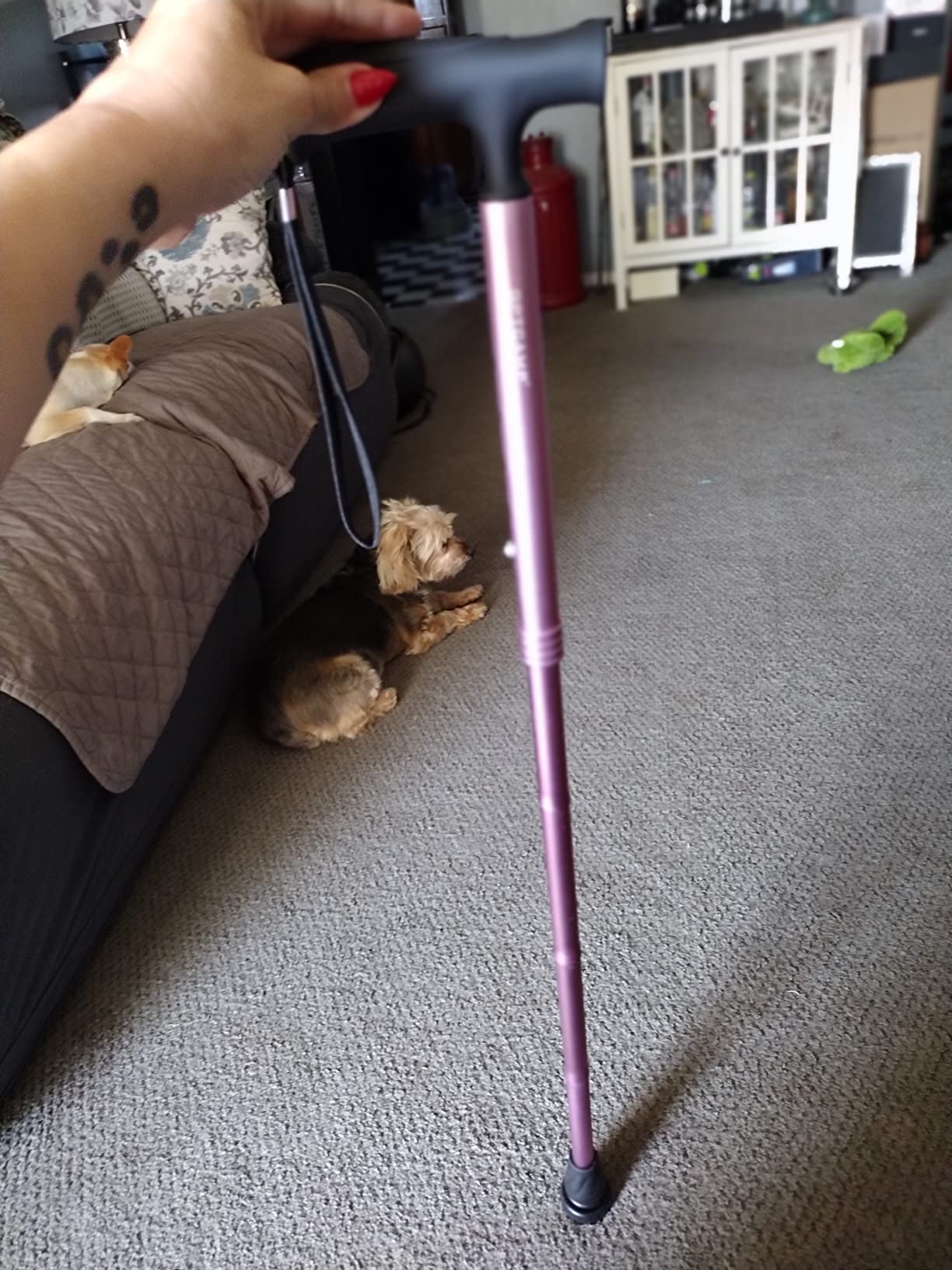 GPTCAMP Walking Cane T Handle Slip Resistant Adjustable for Men Women | Folds 12.4