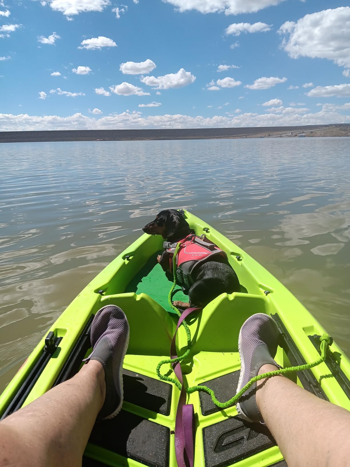 OCEANBROAD Kayak Paddle Leash Accessories for Kayaking Fishing Paddle Board customer photo 2