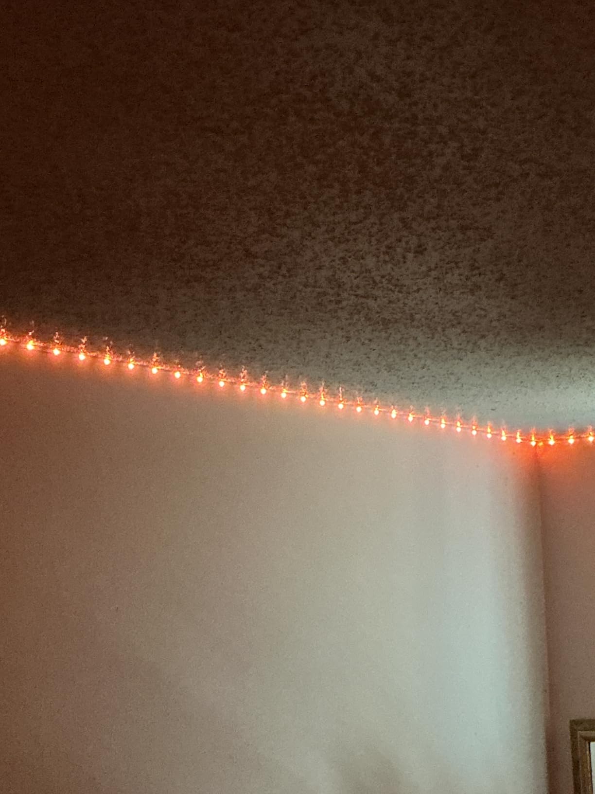 Leeleberd Led Lights for Bedroom 100 ft (2 Rolls of 50ft) Music Sync Color Changing RGB Led Strip Lights with Remote App Control Bluetooth Led Strip, Lights for Room Home Kitchen Party Decor customer photo 1