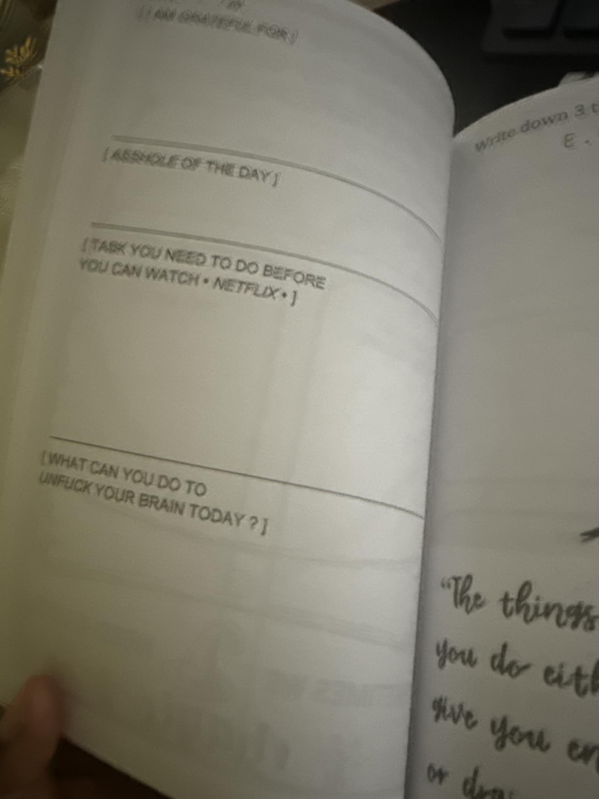 Fuck It: A Guided Self-Love and Gratitude Journal for Women to Unfuck Your Life, Exhale the Bullshit, and Love Who You Are (Cute Self Care & Self Help Books) customer photo 2