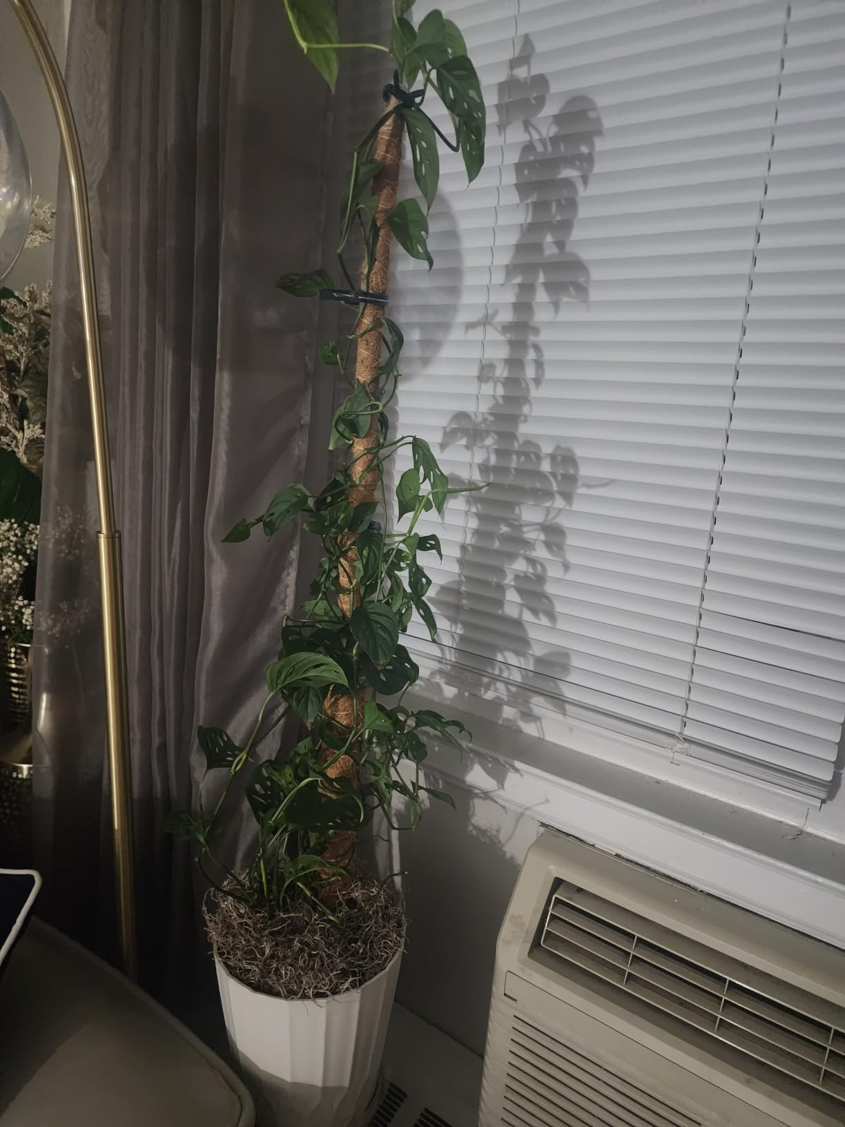 2Pcs 28'' Moss Pole Monstera Plant Support - Plant Stakes for Indoor Plants customer photo 2
