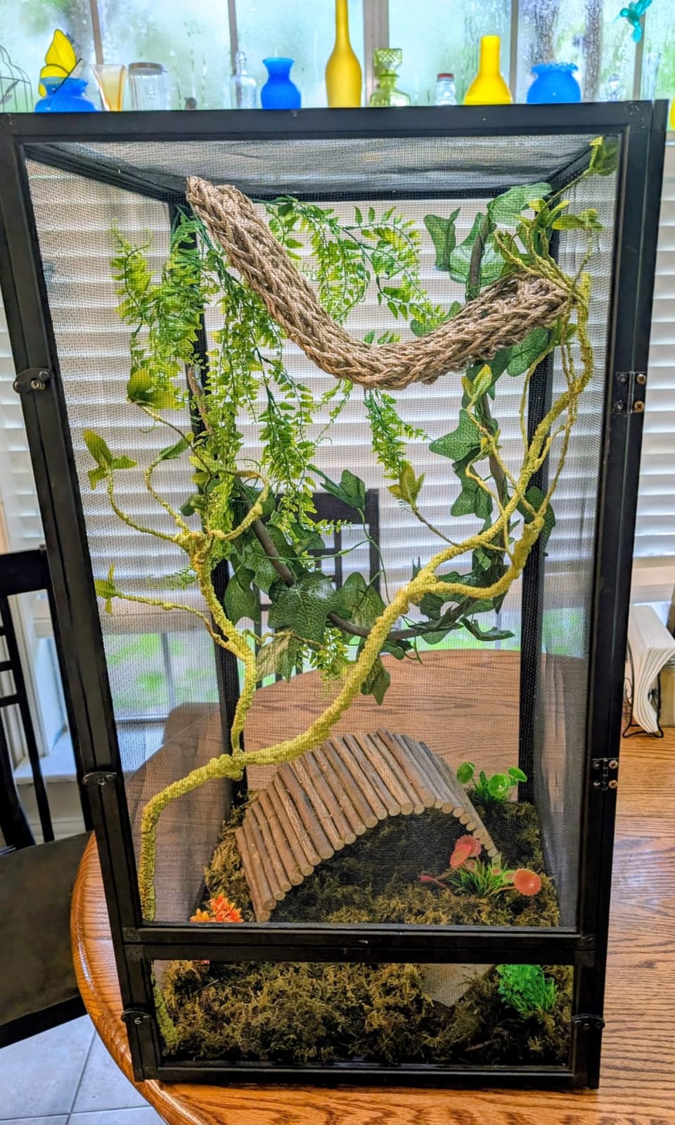 RUNANIA Bearded Dragon Tank Accessories, 10 PCS Reptile Hammock Plants Bridge Jungle Climber Vines for Snakes Bearded Dragon Chameleon Gecko Lizard customer photo 2