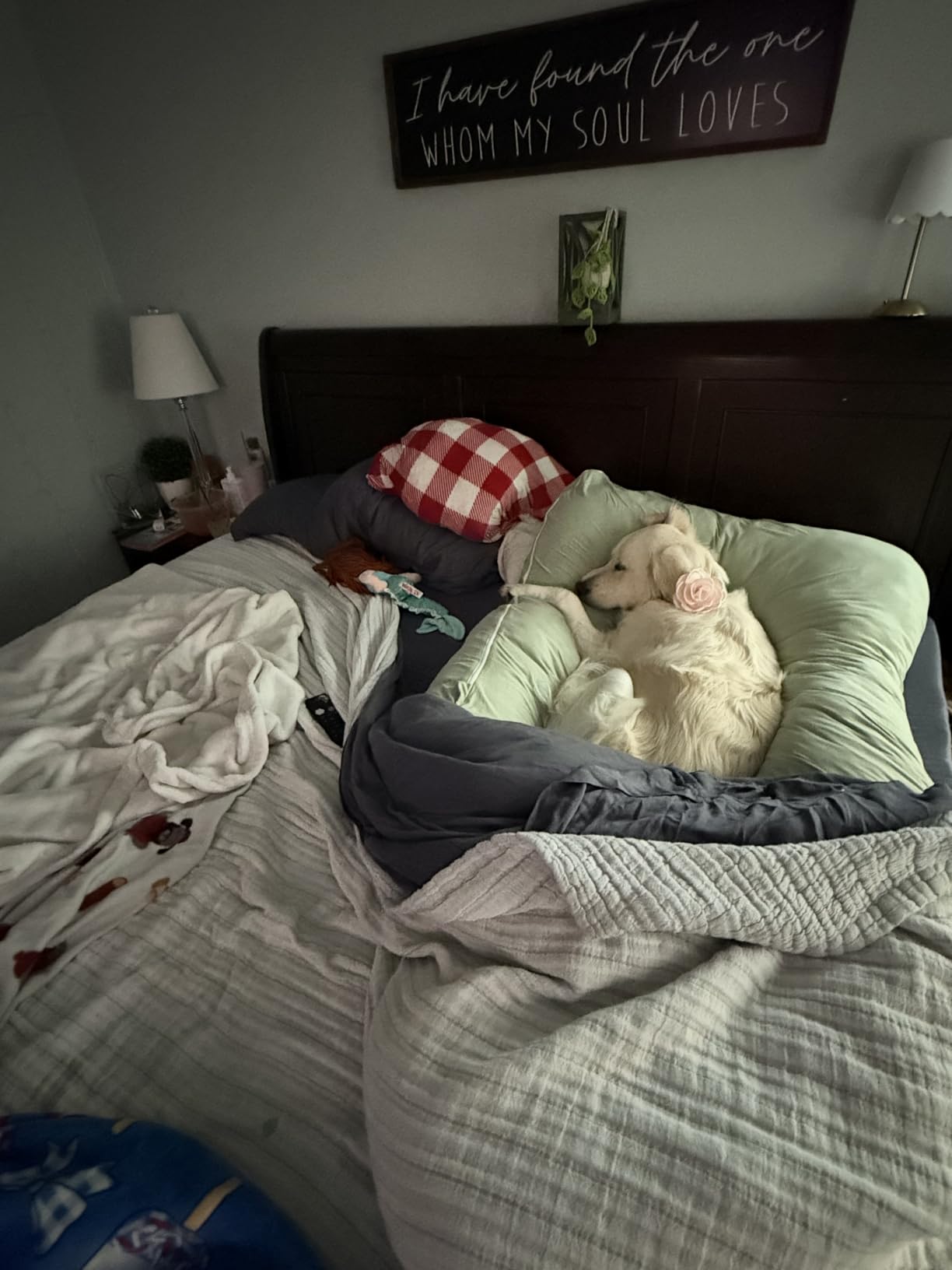 Meiz Pregnancy Pillow, U Shaped Pregnancy Pillows for Sleeping Cooling, 55 Inch Maternity Pillow for Pregnant Women, Body Pillows for Adults, Rayon Cover from Bamboo, Sage Green customer photo 1