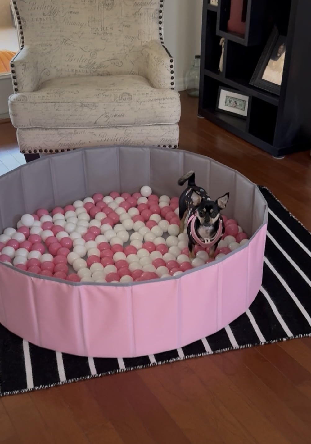 Hikiddy Large Foldable Ball Pit for Toddler Dog- 44in -Balls Not Include customer photo 2