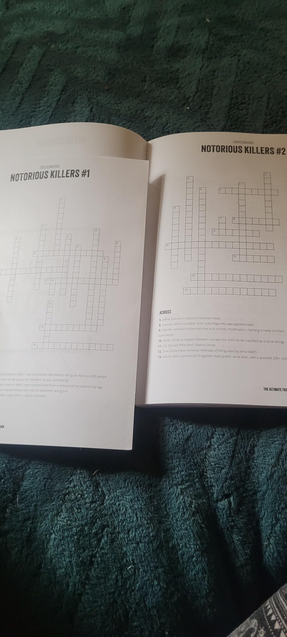 The Ultimate True Crime Puzzle Book: Over 100 Killer Activities for True Crime and Serial Killer Fanatics (Cryptograms, Crosswords, Brain Games, Word Searches, Trivia, Quizzes and Much More) customer photo 2