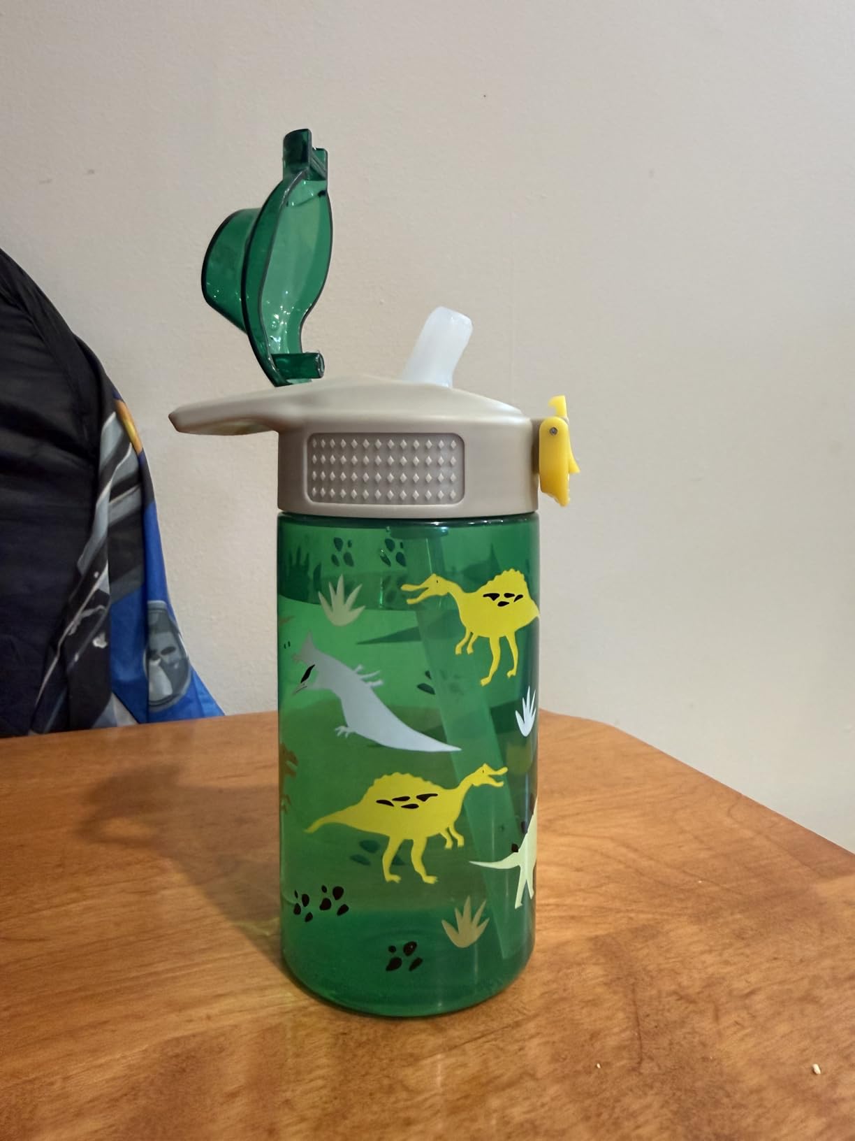 Zak Designs Minecraft Creeper Sage 16oz Leak-Proof Straw Kids Water Bottle customer photo 2