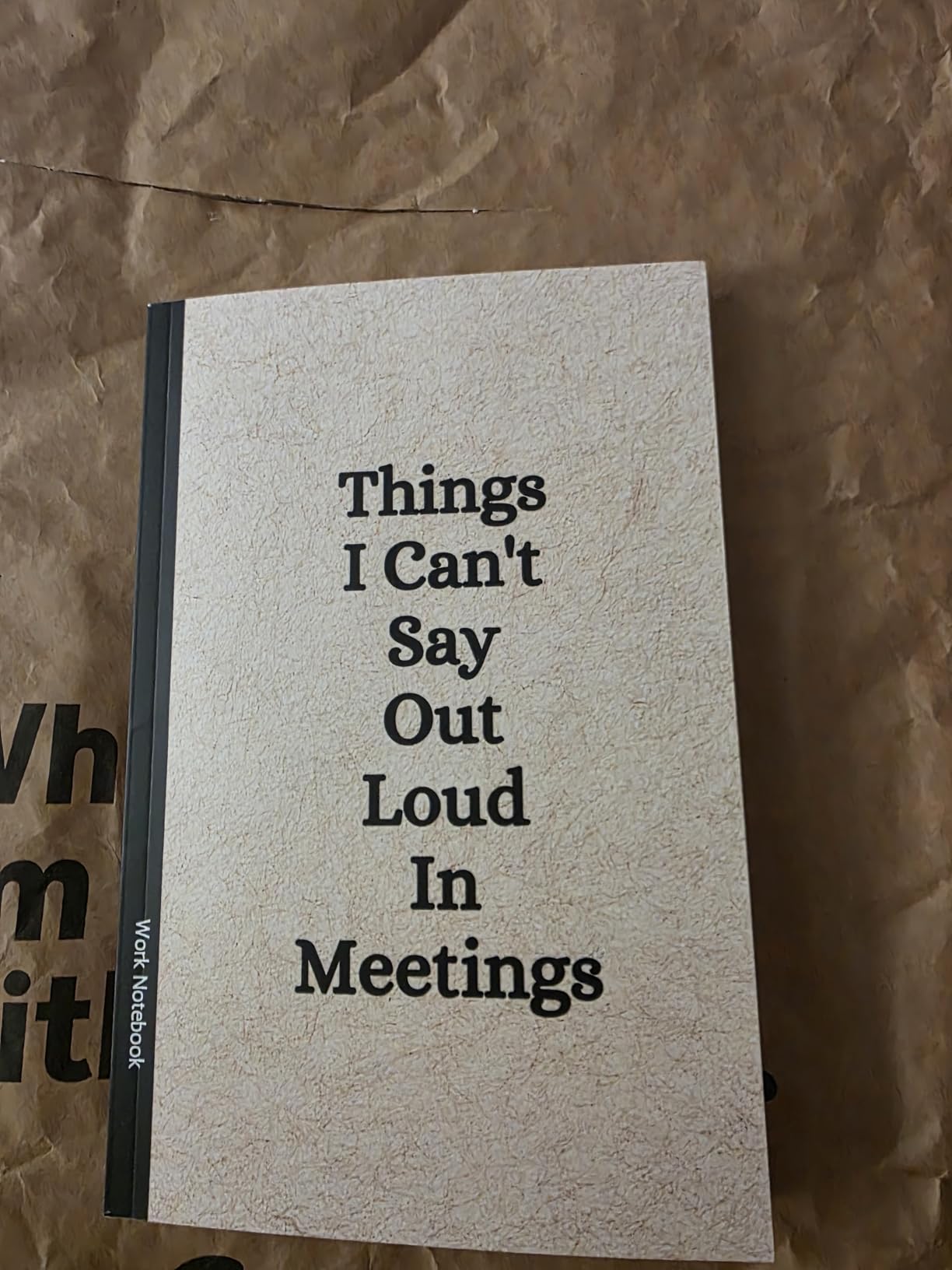 Things I Can't Say Out Loud In Meetings: Funny Notebook for Work, Gag Gift, Boss, Office, Secret Santa Gift for Coworker (Lined Journal with Quotes) customer photo 1
