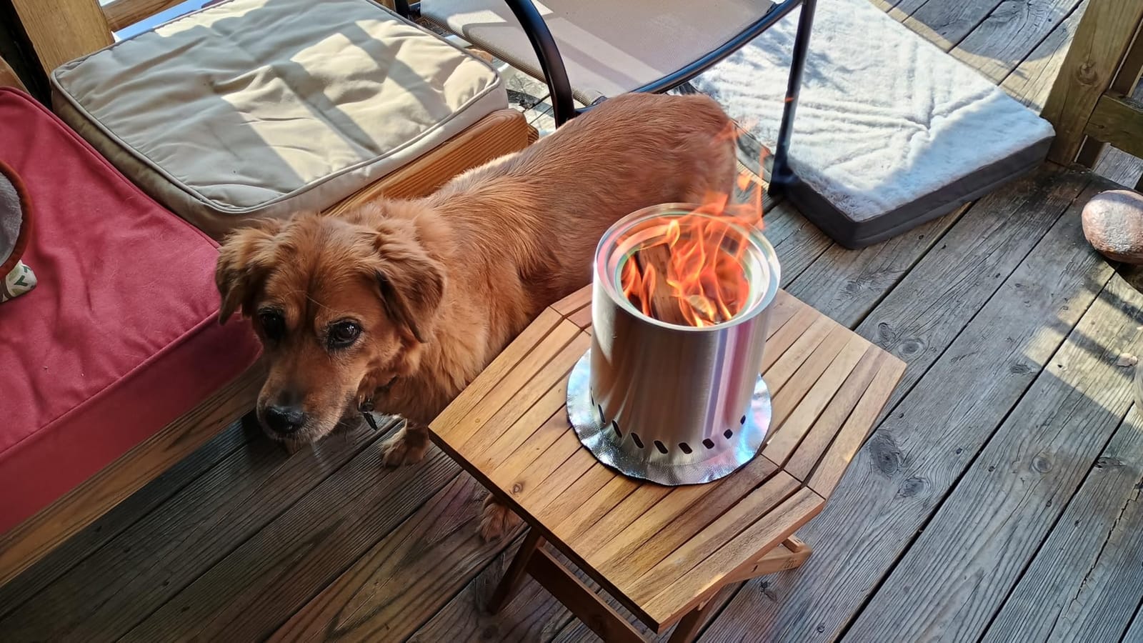 9.7 x 7.1 Inch Tabletop Fire Pit by AmazStove, Low Smoke Camping Stove for Outdoor Safe Burning Firepits, Fueled Pellets or Wood, Travel Bag Included (Silver, 9.7 x 7.1 INCH) customer photo 2