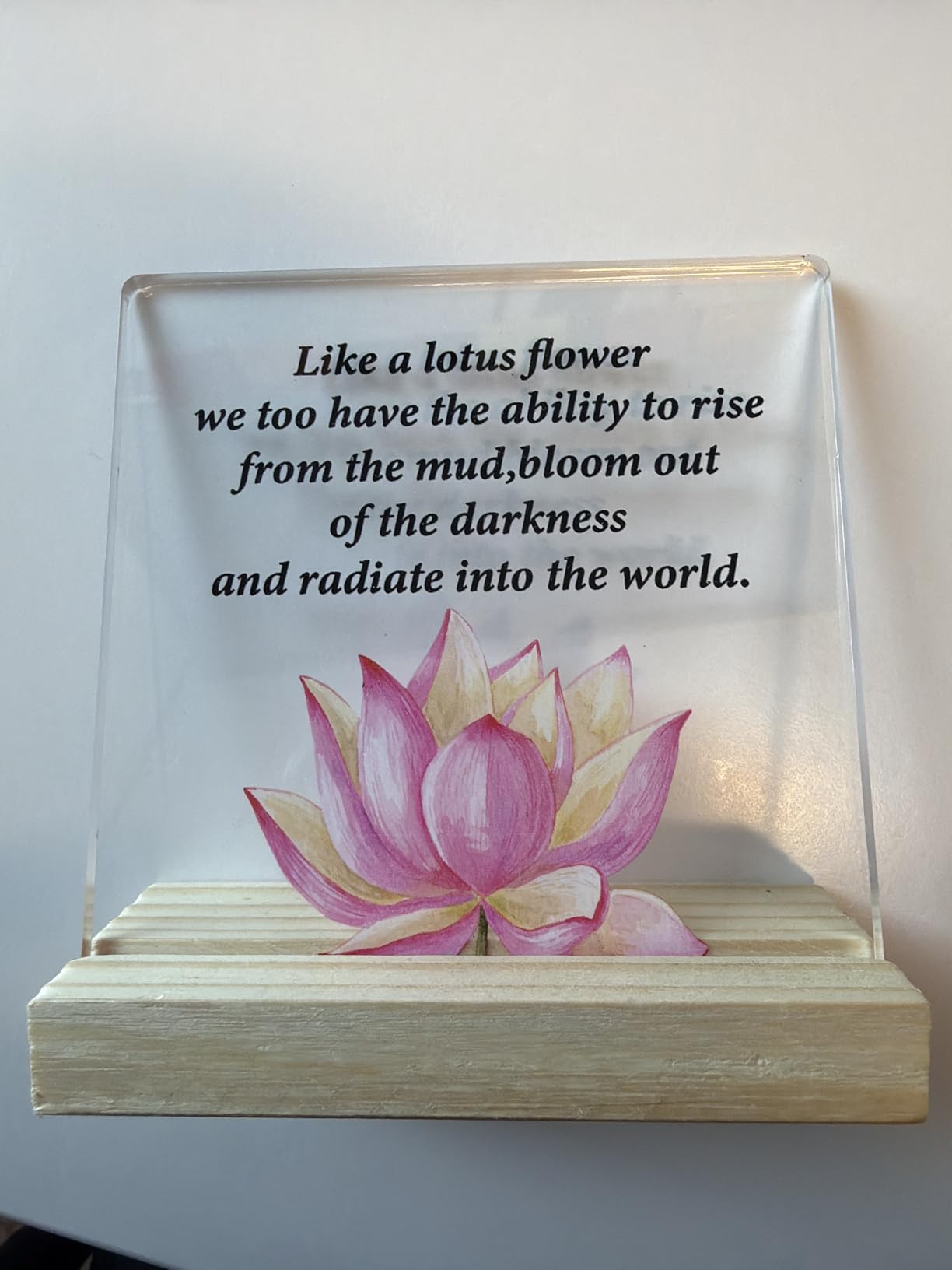 Librarian Gifts for Women Men Birthday Gifts for Book Lover Bookworm customer photo 2