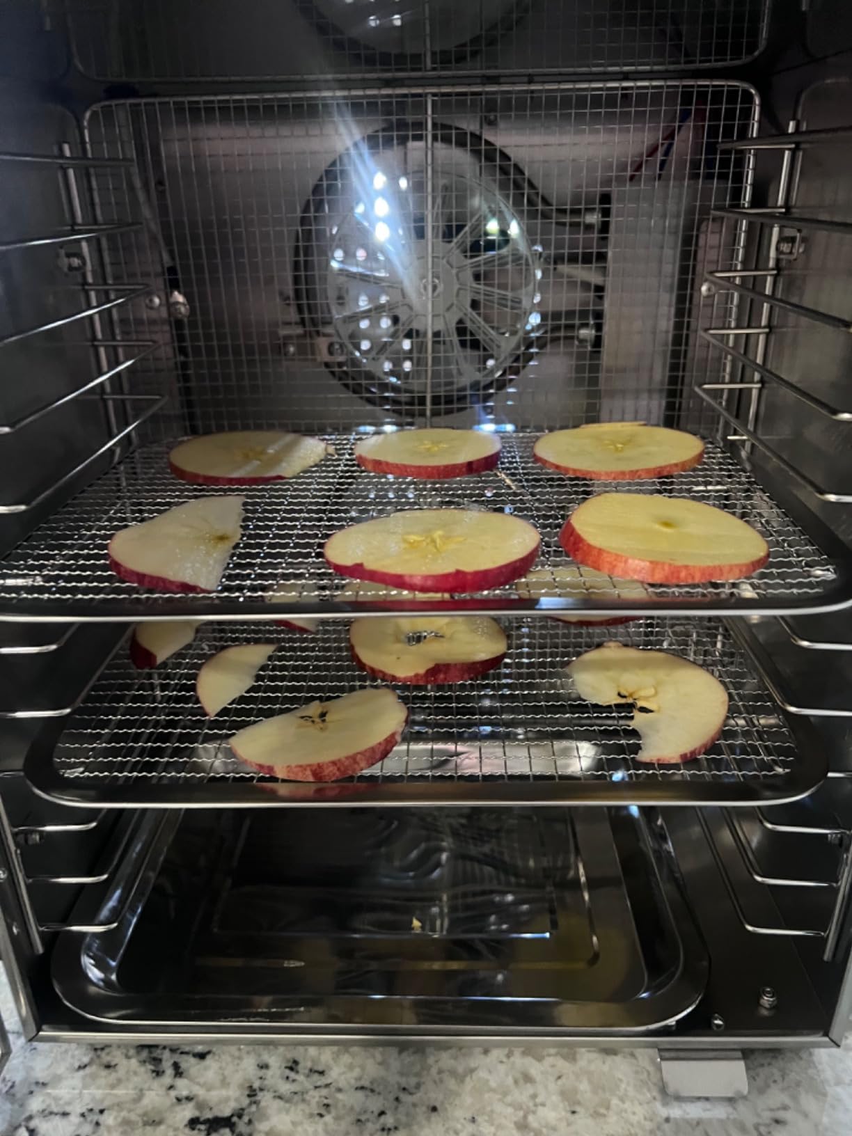 HOPERAN 12 Tray Food Dehydrator Machine for Jerky, Fruit, Herb & Dog Treats customer photo 1