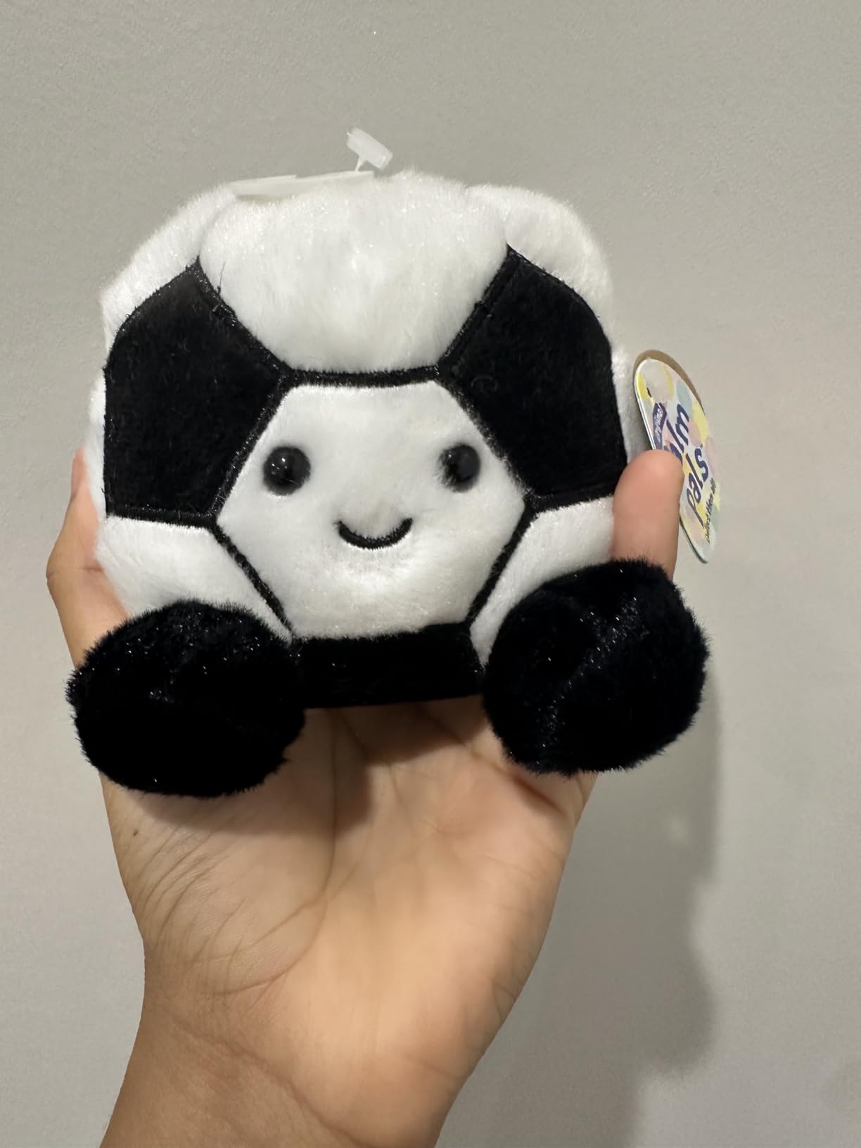 Aurora Palm Pals 4