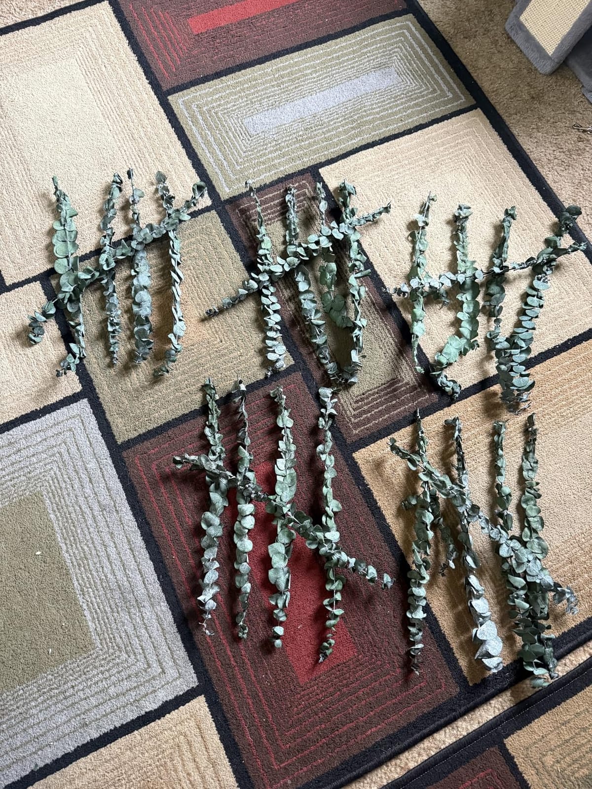 Oning 30PCS Dried Eucalyptus Stems Shower Bundle, Real Eucalyptus Plant customer photo 2