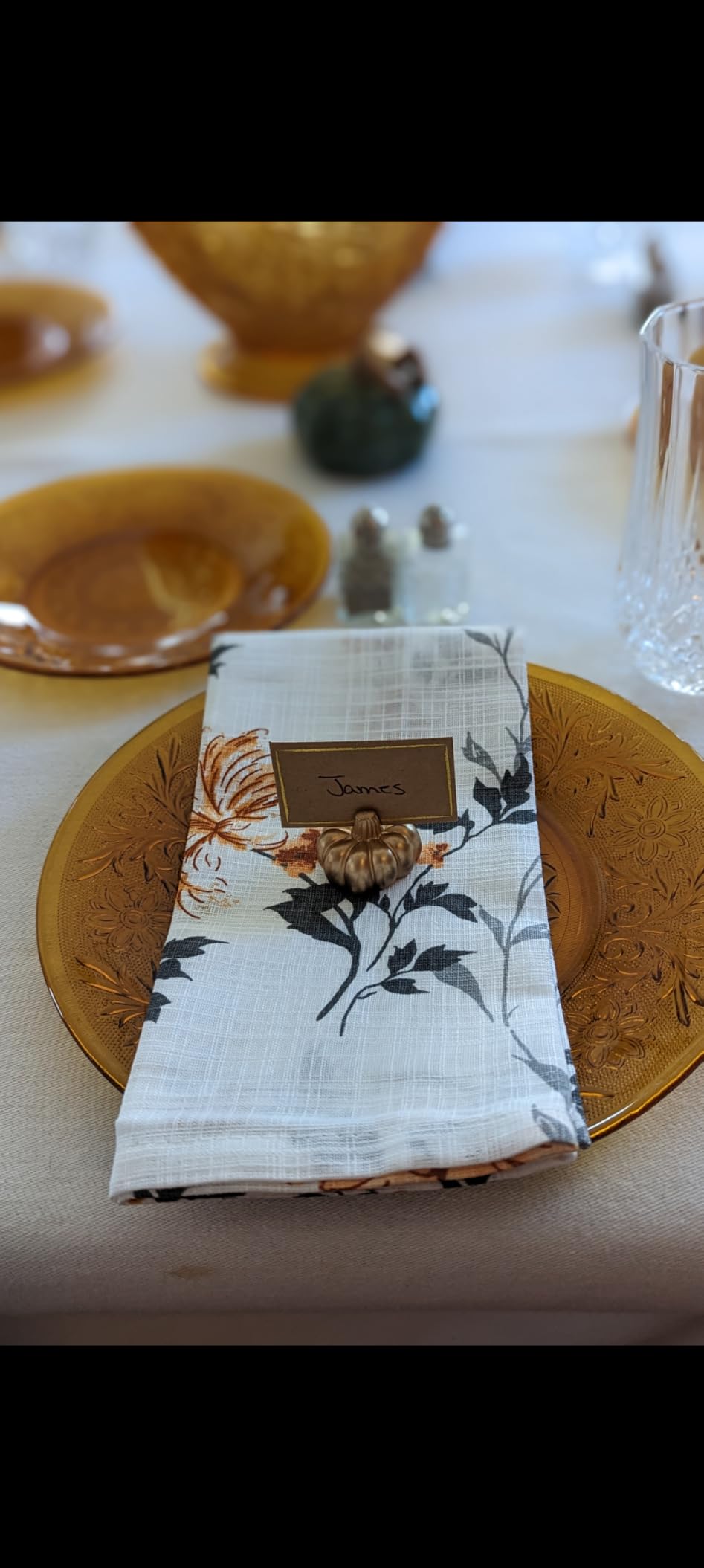 Ruvanti Cloth Napkins Set of 12, 100% Cotton 18”x18” - Capulet Olive customer photo 1