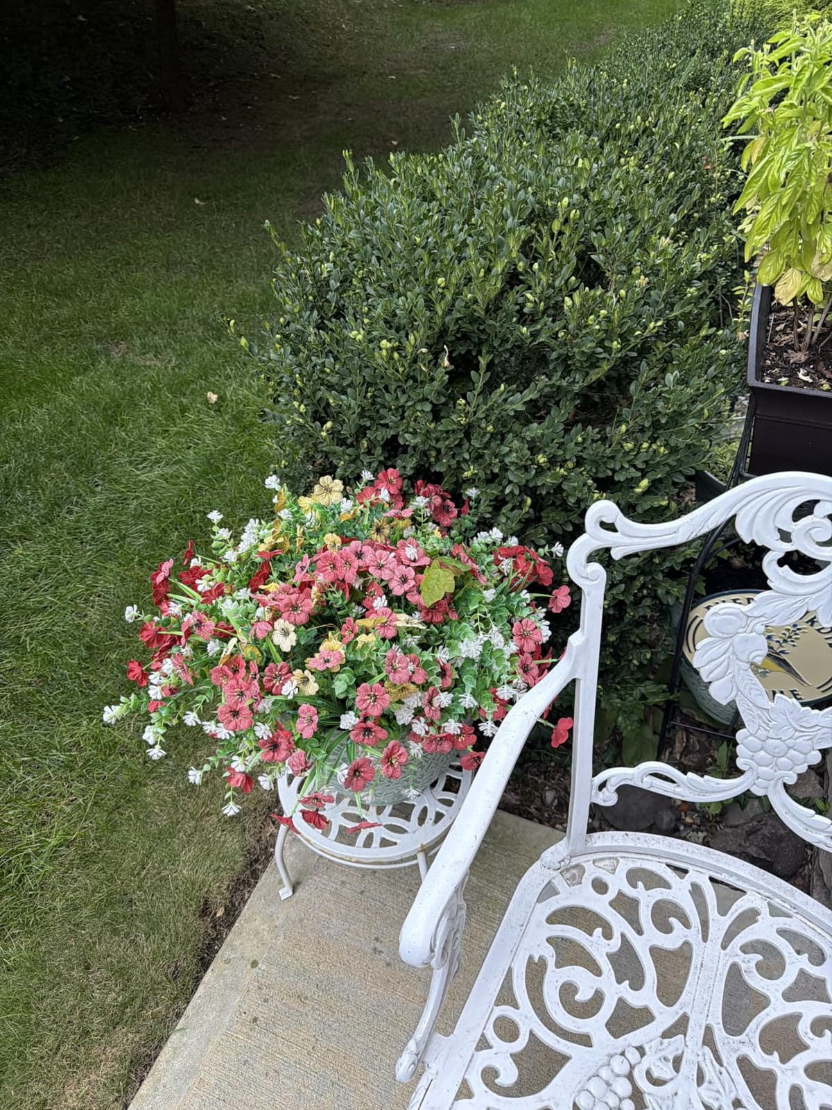 HyeFlora Artificial Fall Flowers Faux Mums for Outdoor Indoor Garden Home Decoration, Faux Flower Daisy with Eucalyptus Leaves Fake Mums Plants Greenery Boxwood Porch Patio, 12 Bundles customer photo 2