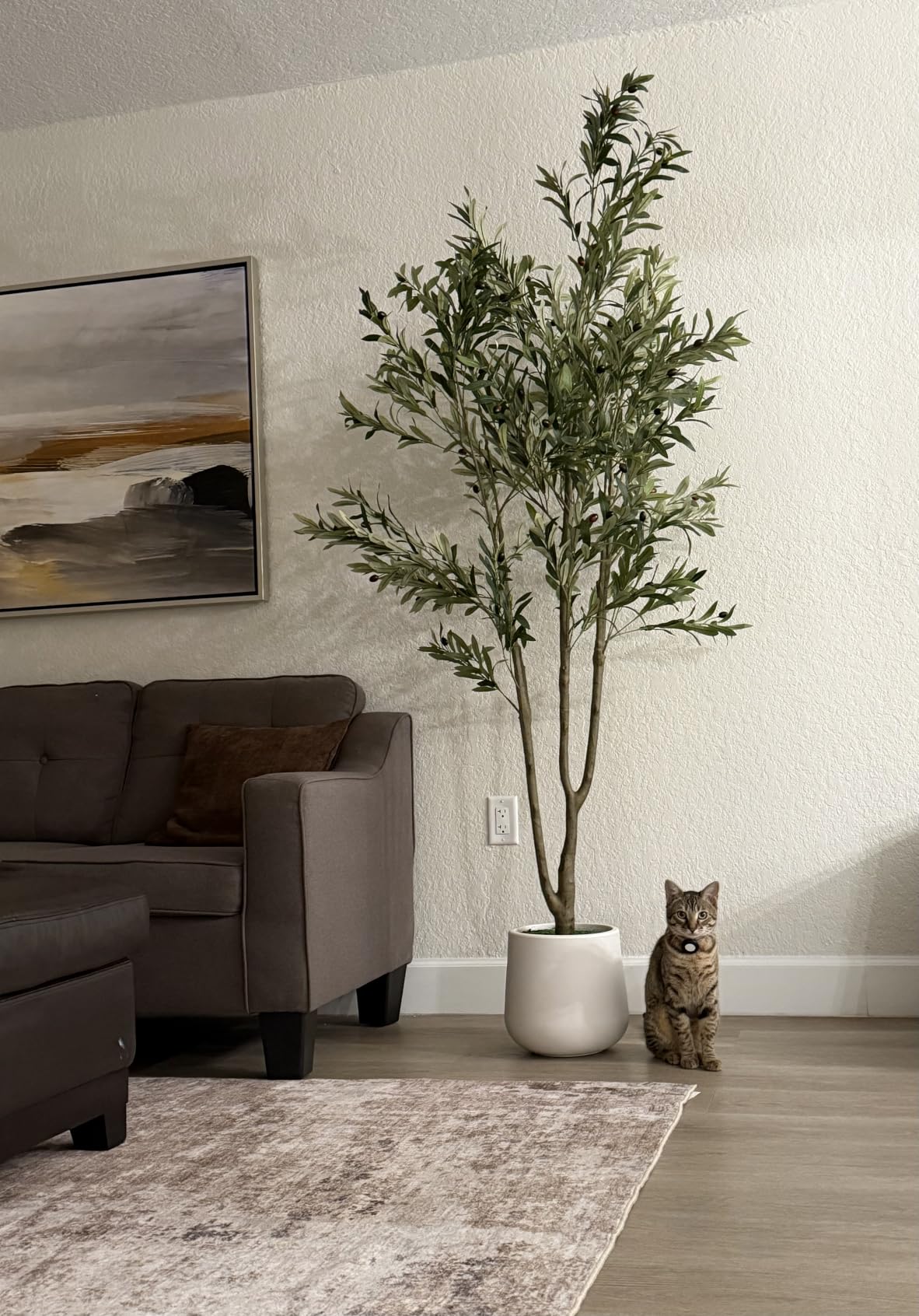 VIVATREES Olive Trees Artificial Indoor, 6FT Tall Faux Olive Tree with White Tall Planter, Artificial Plants with Natural Wood Trunk and Lifelike Fruits for Home Office Decor customer photo 1