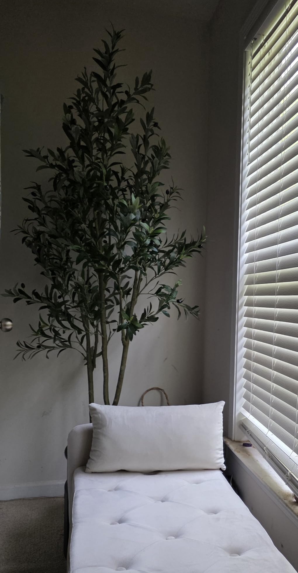 VIVATREES Olive Trees Artificial Indoor, 6FT Tall Faux Olive Tree with White Tall Planter, Artificial Plants with Natural Wood Trunk and Lifelike Fruits for Home Office Decor customer photo 2