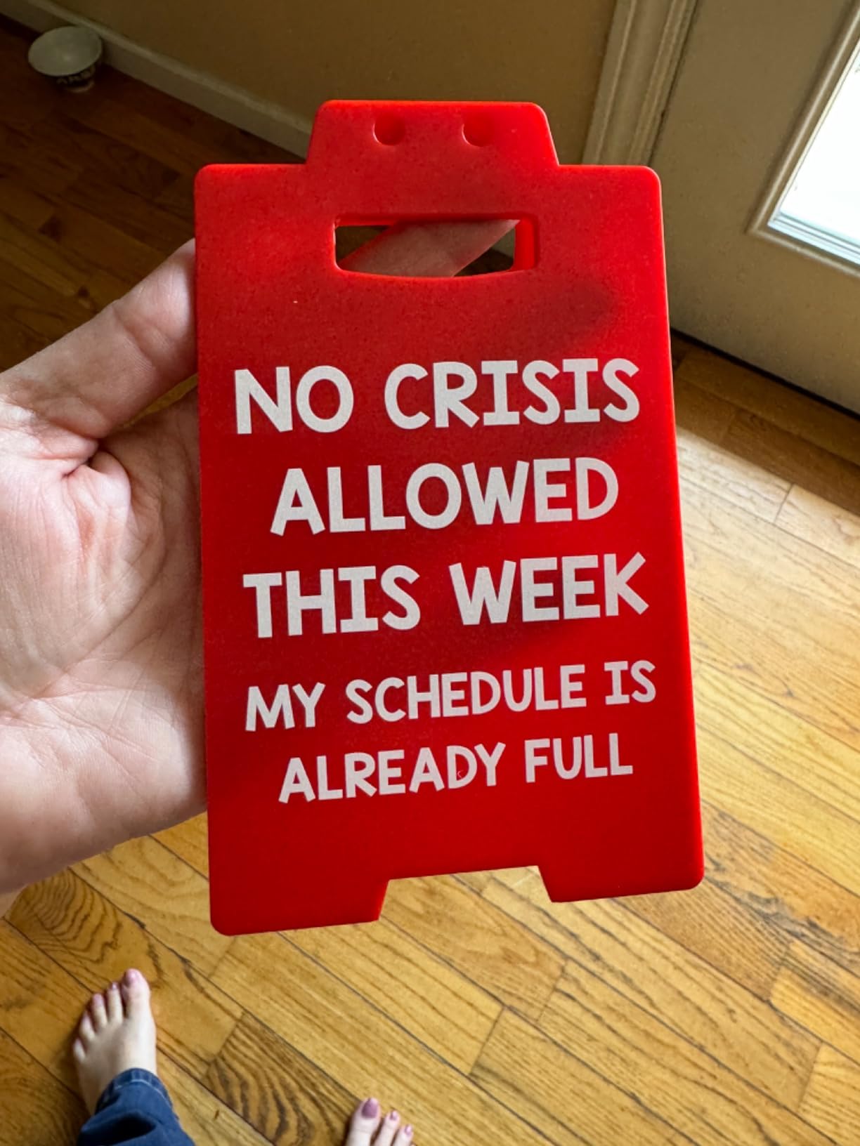 Funny Office Desk Decor Boss Birthday Gift for Women Lady Men, Bosses Day Gifts for Women, Boss Day Decorations, Supervisor Manager Secretary Coworker Teacher Nurse Principal Cubicle Decor Red Sign customer photo 1