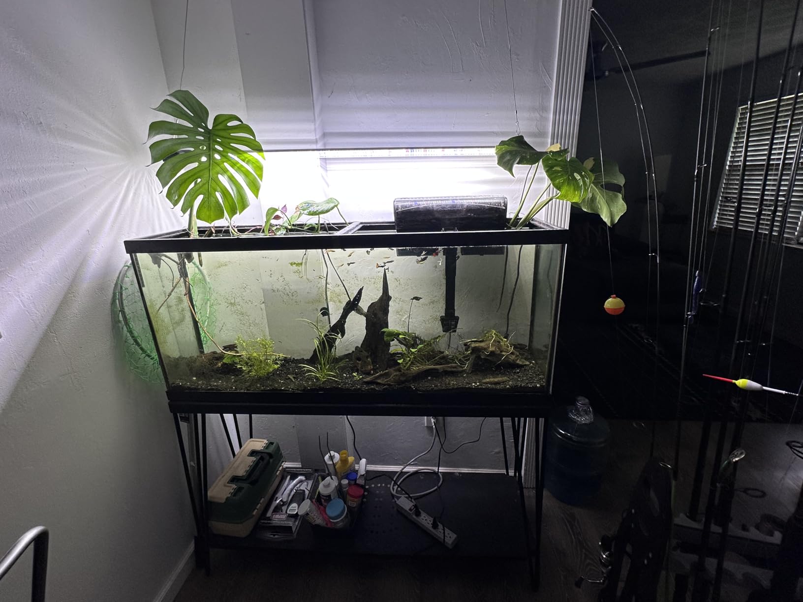 3FT LED Succulent Terrarium Plant Grow Light Linkable Full Spectrum Daylight with Enhanced 660nm Red and 450nm Blue LightTech Indoor Lighting Fixture (3 FT) customer photo 2