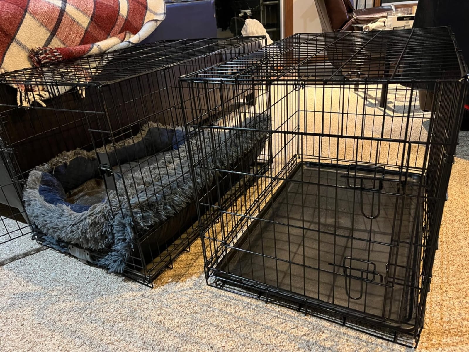 Piskyet 24 Inch Double Door Small Dog Crate with Divider Panel and Leak- Proof Pan Tray, Folding Metal Wire Pet Kennel for Indoor,Antigue Color customer photo 2