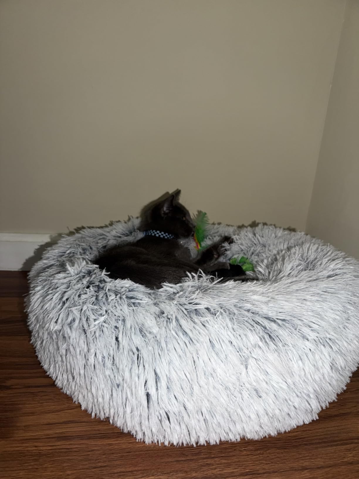 JOLLYVOGUE Small Dog Bed, Calming Dog Beds for Small Dogs & Indoor Cats - 20 Inches Donut Washable Cat Bed for Kittens & Puppies, Round Fluffy Plush Faux Fur Pet Beds(Smoke Grey) customer photo 1