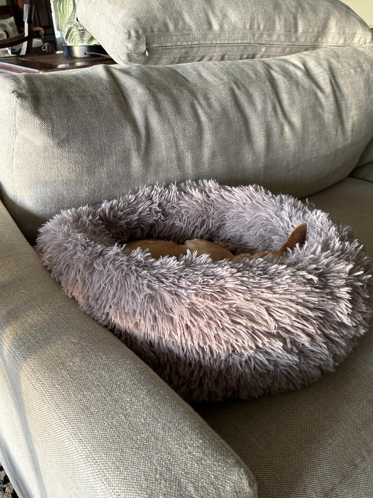 JOLLYVOGUE Calming Dog Bed Medium Size Dog, 31in Donut Washable Medium Pet Bed, Anti-Slip & Anti-Anxiety Fluffy Faux Fur Round Dogs Bed, Fits up to 45 lbs Pets (Smoke Grey) customer photo 1