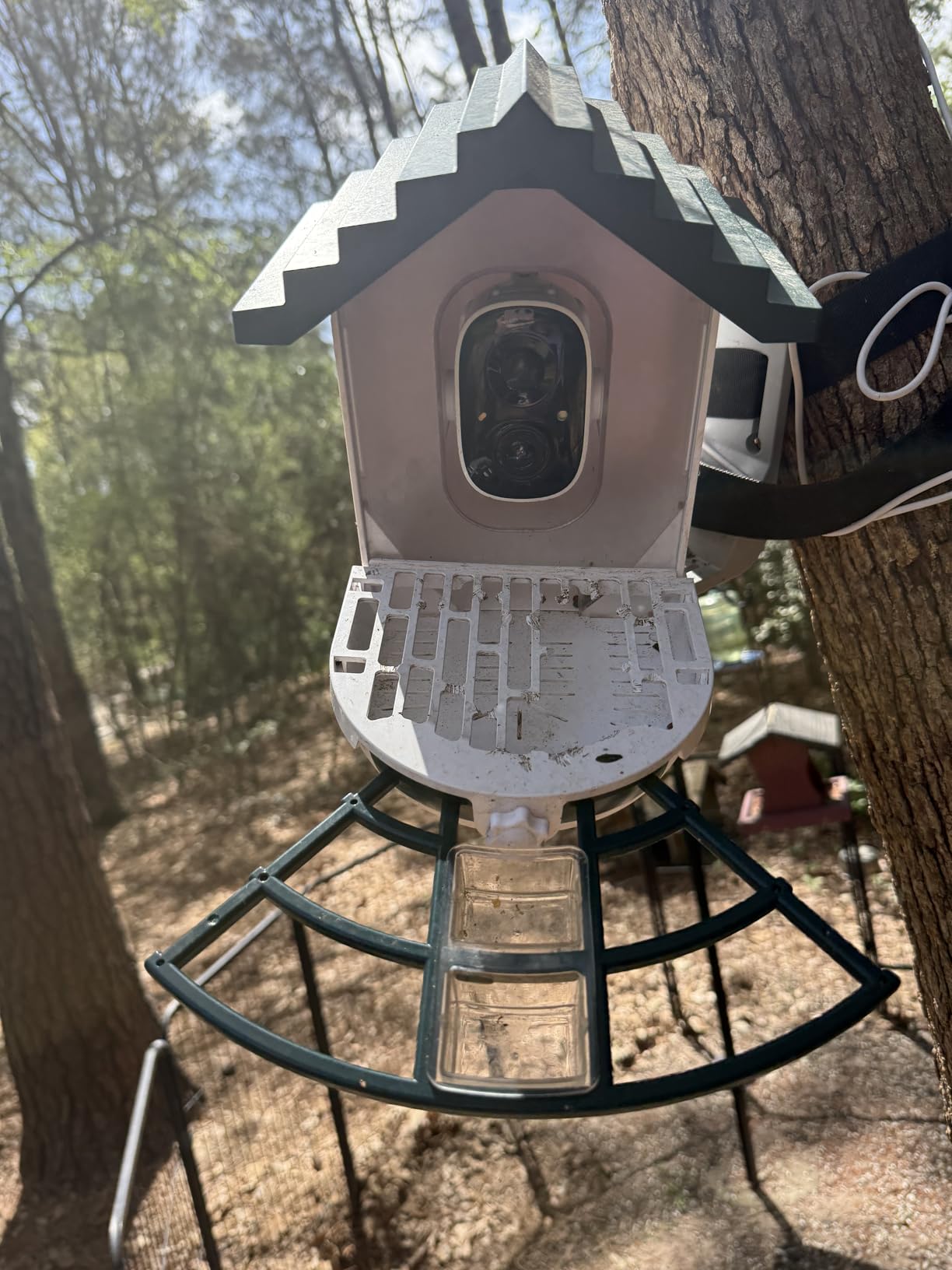 Smart Bird Feeder with Camera Solar Powered & AI Bi rd Identification, 2.4Ghz WiFi Bird feeders for Outdoors, 2K Live Video, Instant Arrival Alerts - Gifts for Women customer photo 1