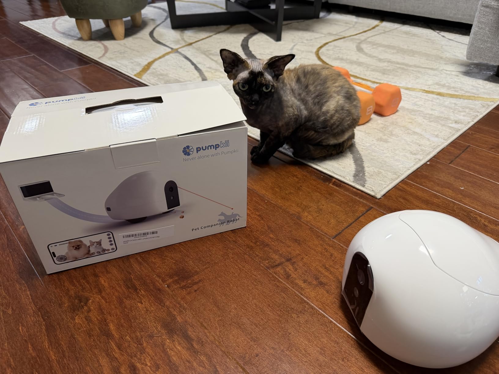 Pet Camera Robot with Treat Dispenser & Laser, Moving Cat Robot Camera for Dogs and Cats with Two-Way Audio, App Remote Control, Auto Recharge, 1080P Night Vision - BQ70 customer photo 2