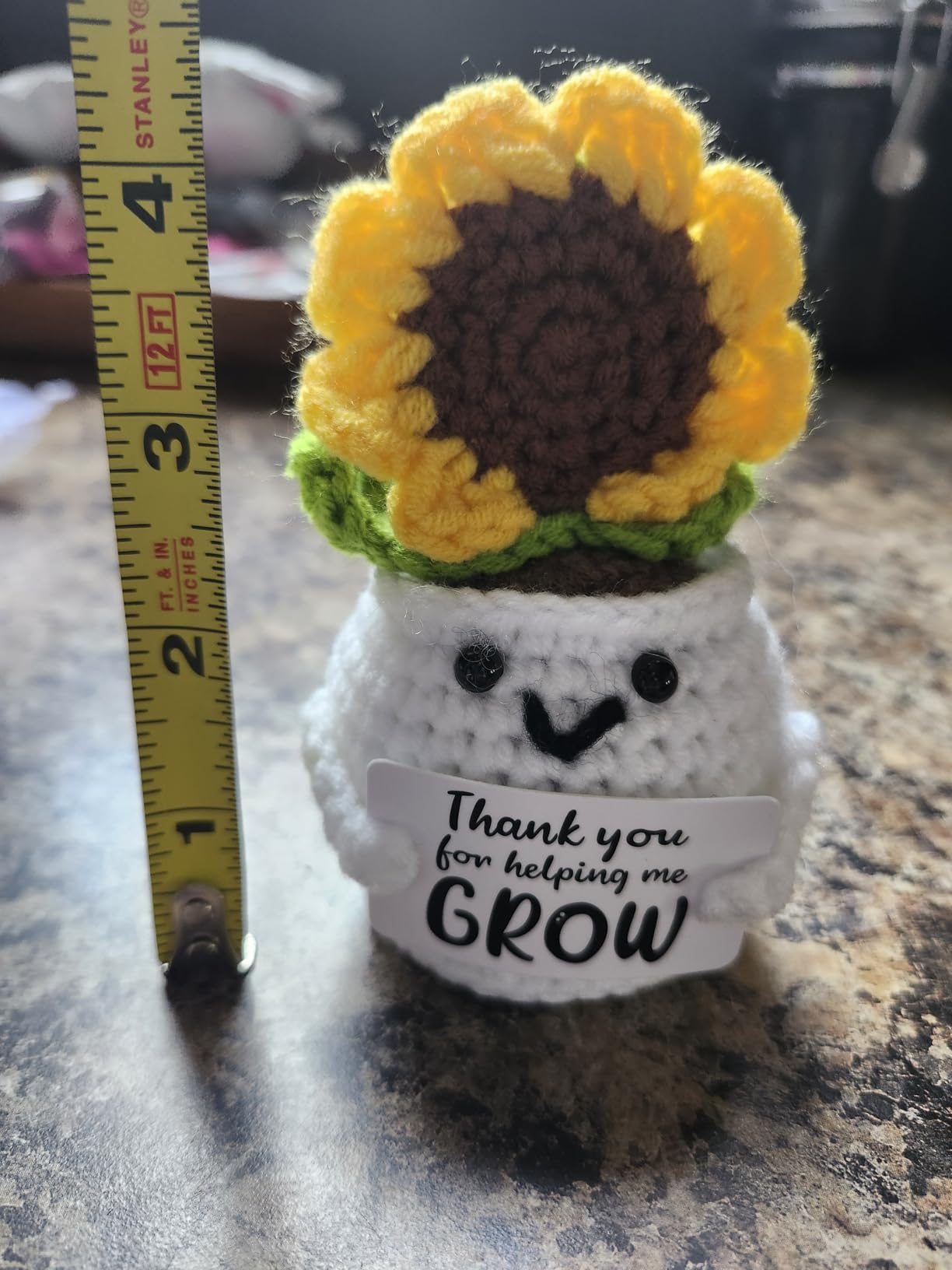 MBL Teacher Appreciation Gifts for Women - Retirement Sunflower Woman Gift customer photo 1