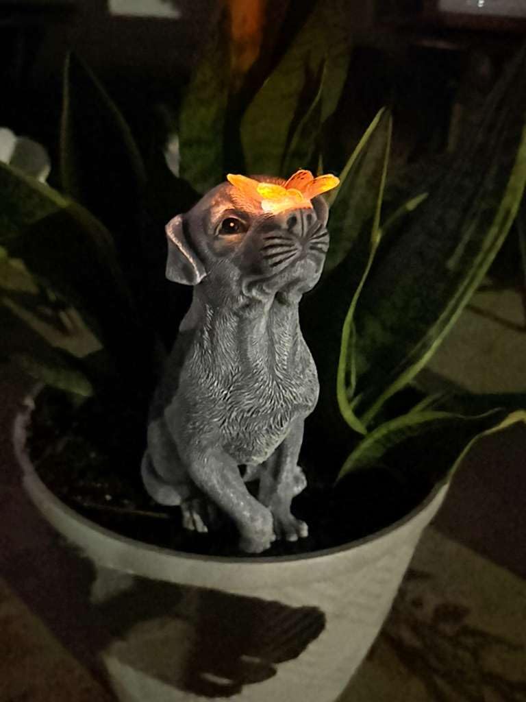 Goodeco Dog Statue with Solar Butterfly Garden Decor customer photo 2