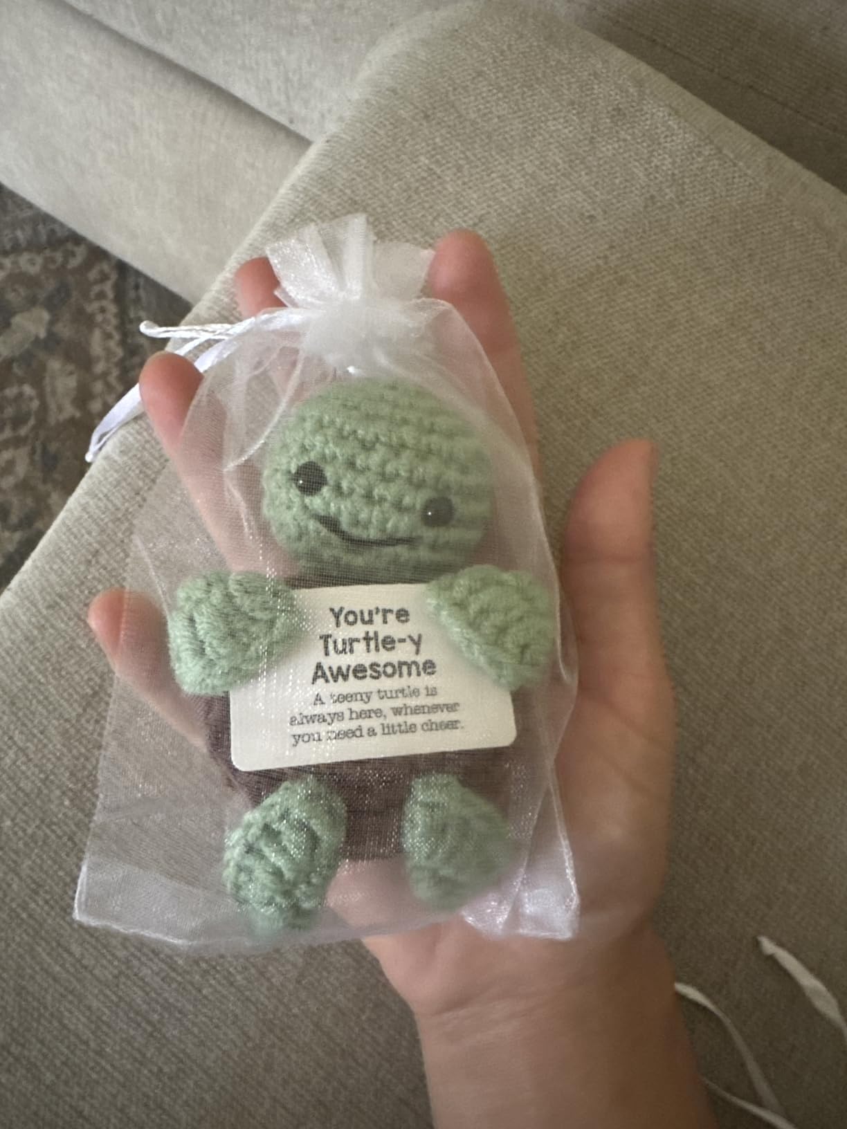 Mini Funny Turtle Birthday Gifts for Women Men Christmas, Thanksgiving Bosses Day Retirement Gift, Inspirational Small Animals Cute Stuff Things, Handmade Emotional Positive Crochet Turtle Decorations customer photo 1