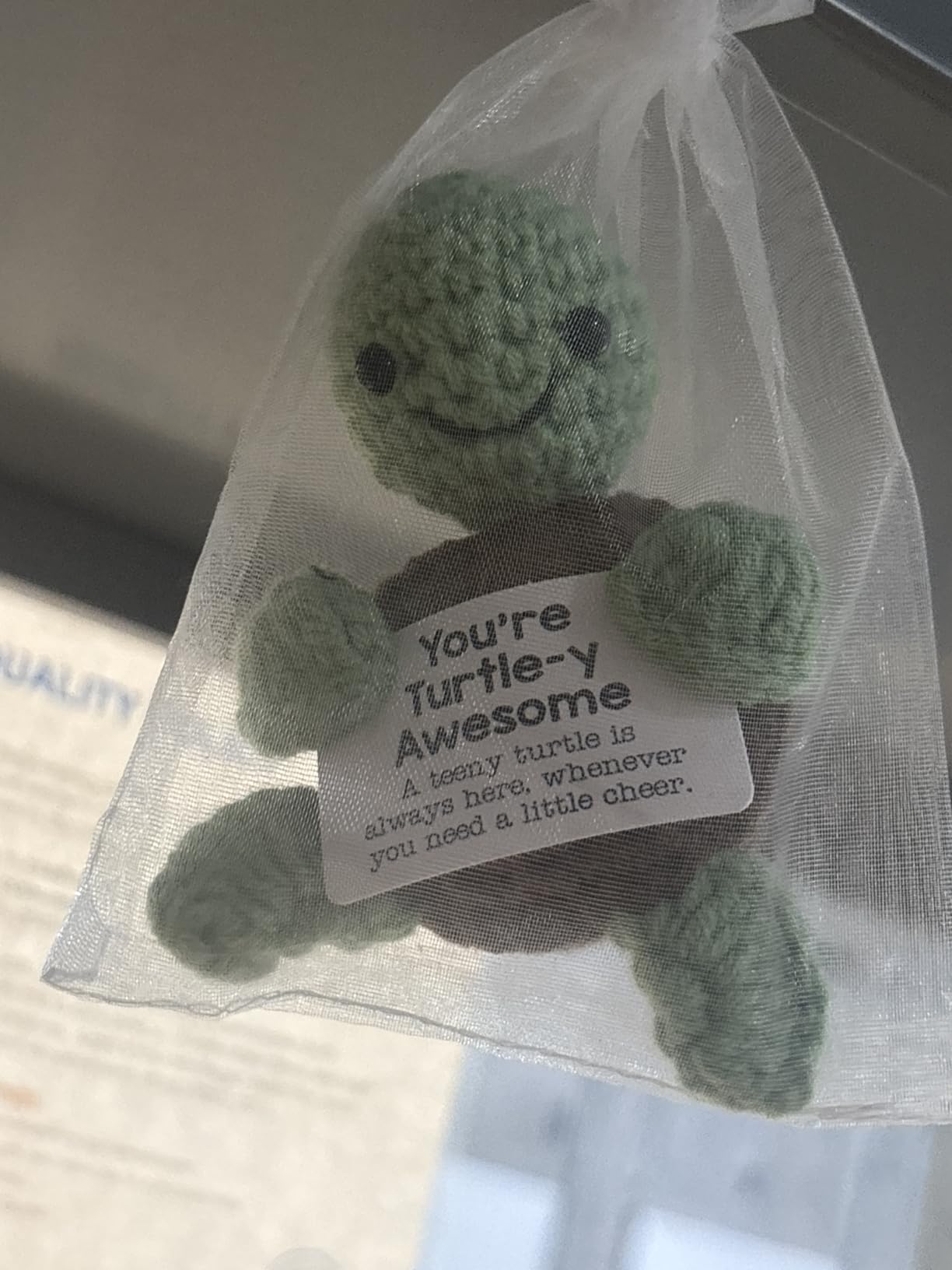 Mini Funny Turtle Birthday Gifts for Women Men Christmas, Thanksgiving Bosses Day Retirement Gift, Inspirational Small Animals Cute Stuff Things, Handmade Emotional Positive Crochet Turtle Decorations customer photo 2
