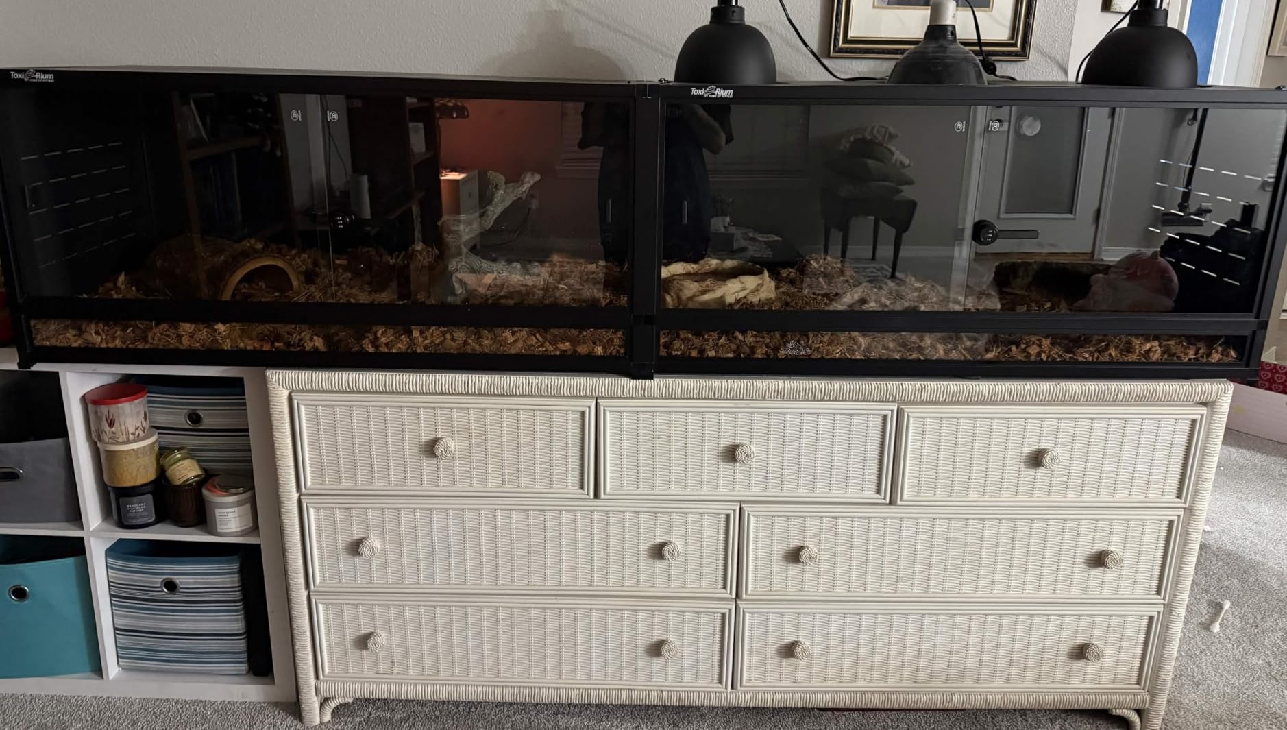 8FT PVC Reptile Enclosure 8x2x2FT, 240 Gallon Modular Expandable Terrarium with Tempered Glass Front Opening Sliding Doors, Lockable Habitat for Bearded Dragon Gecko Lizard Snake, Black customer photo 2
