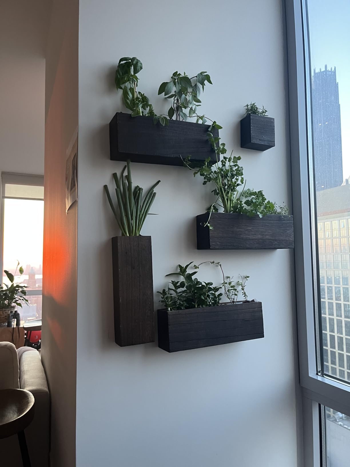 LaLaGreen Wood Planter Box for Plants (8 Pack) Wall Planters for Indoor customer photo 2